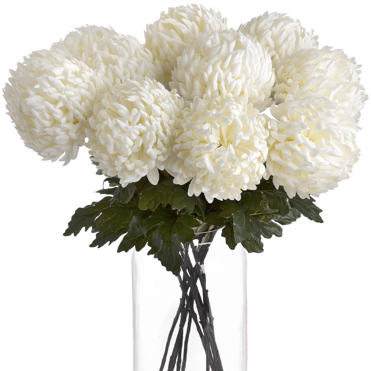 Large White Chrysanthemum image 3