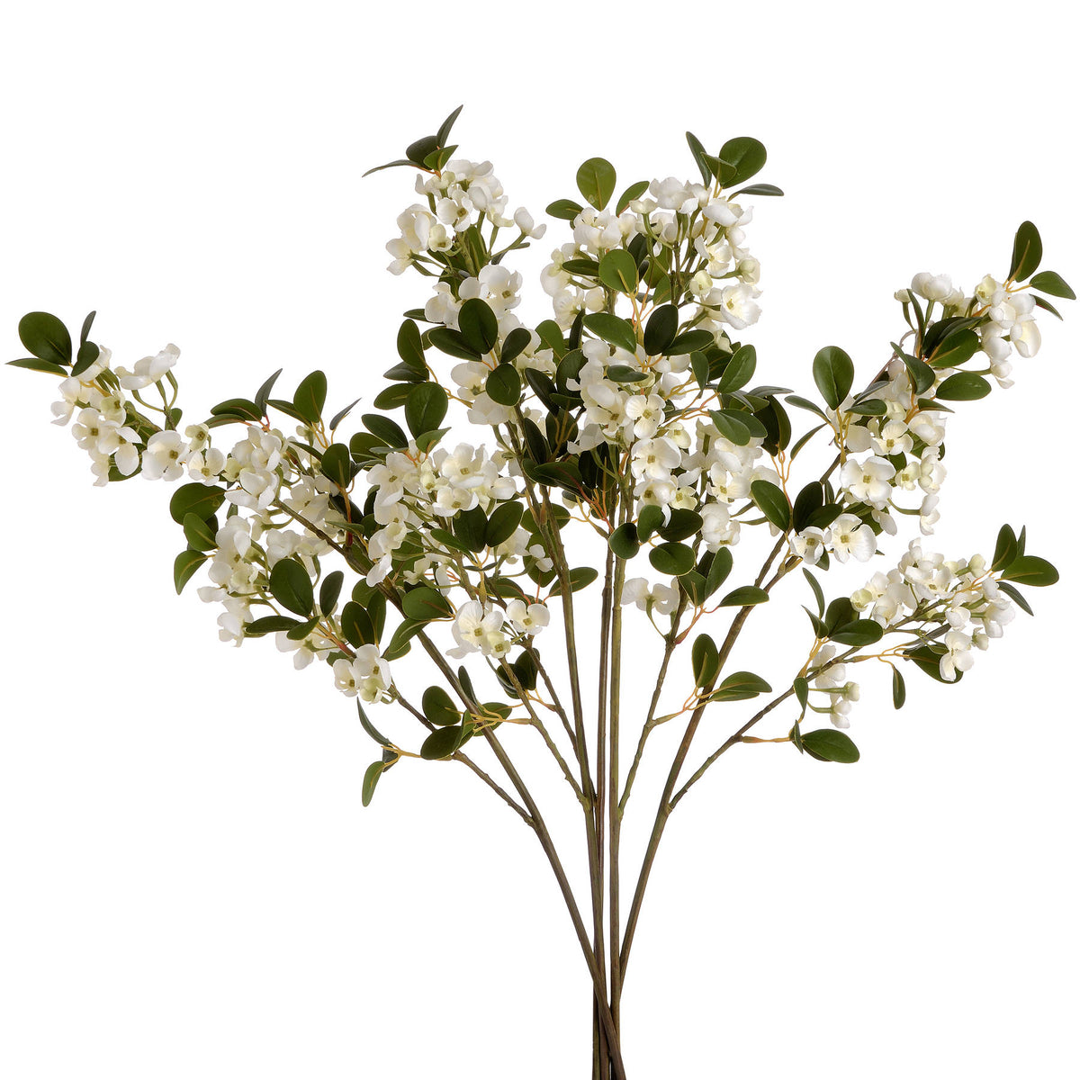 White Spring Mock Orange Flower image 4