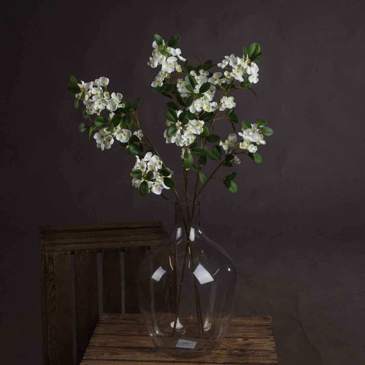 White Spring Mock Orange Flower image 1