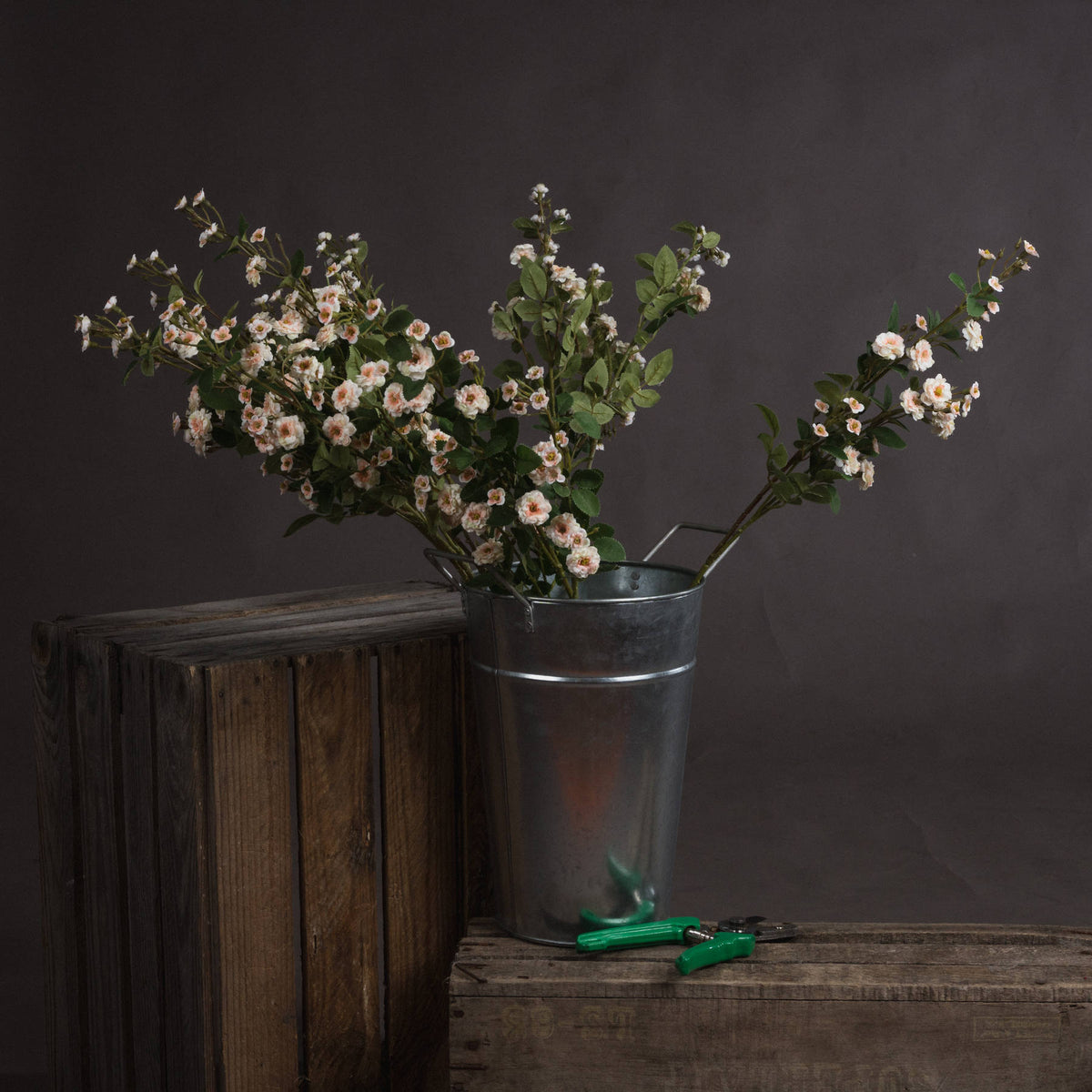 Cream Wild Meadow Rose image 1