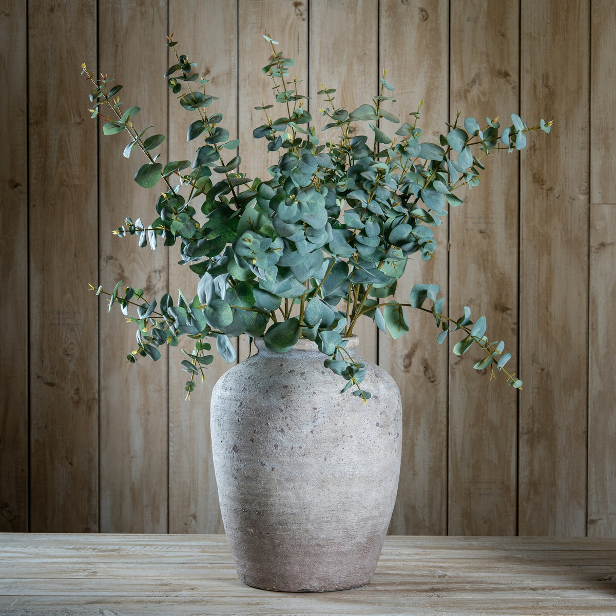 Variegated Eucalyptus image 2