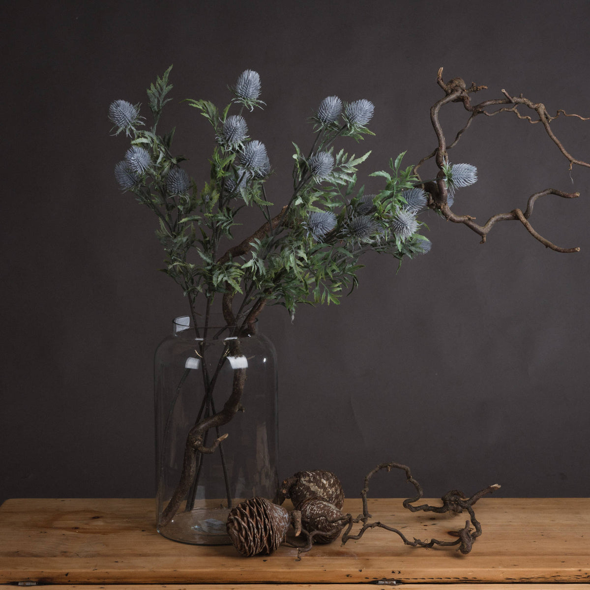 Eryngium Thistle image 1