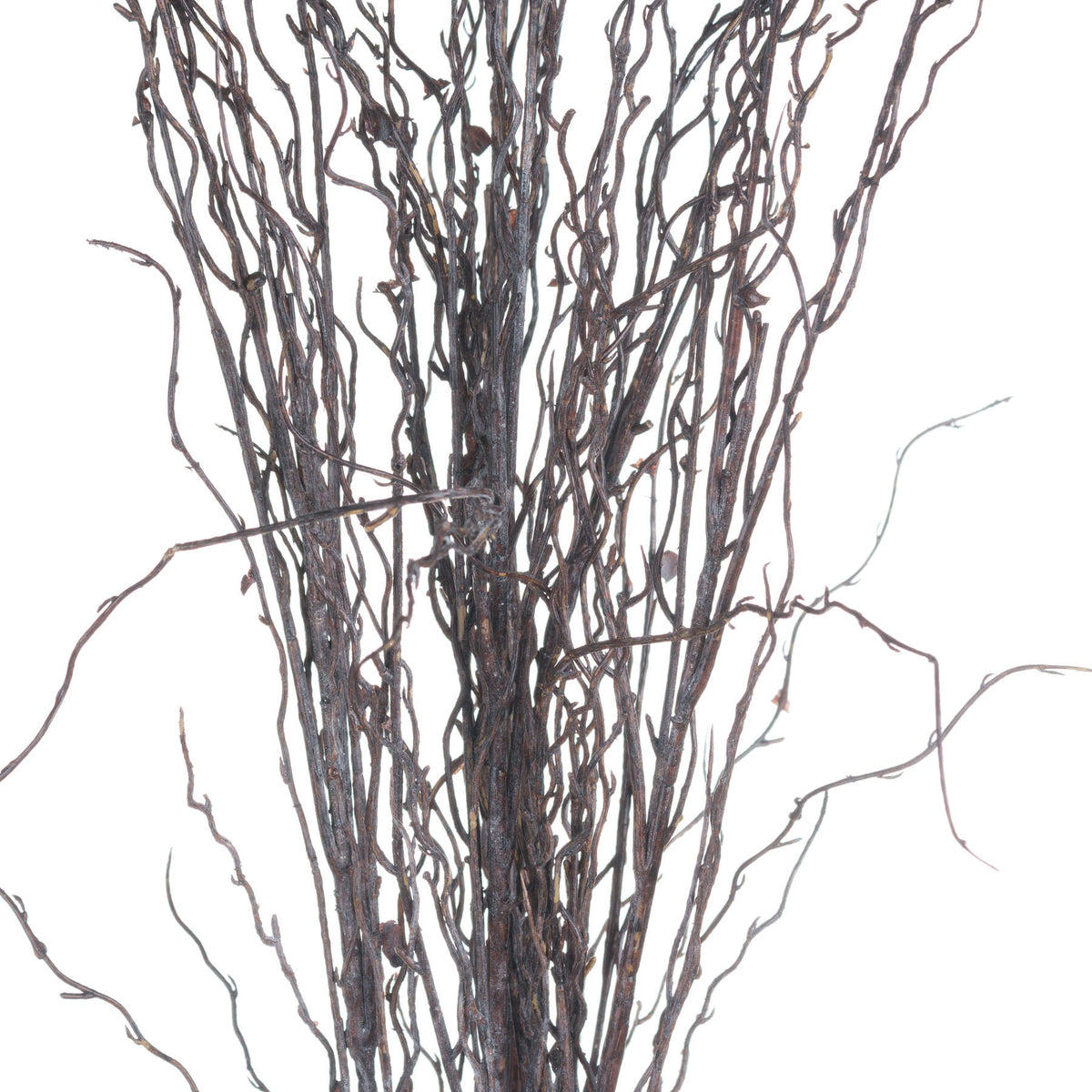 Branch Spray image 5