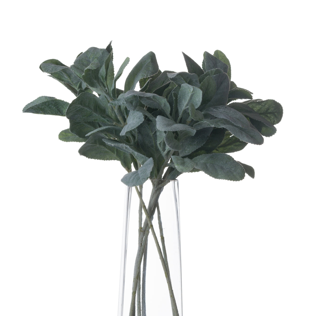 Lambs Ear Spray image 3