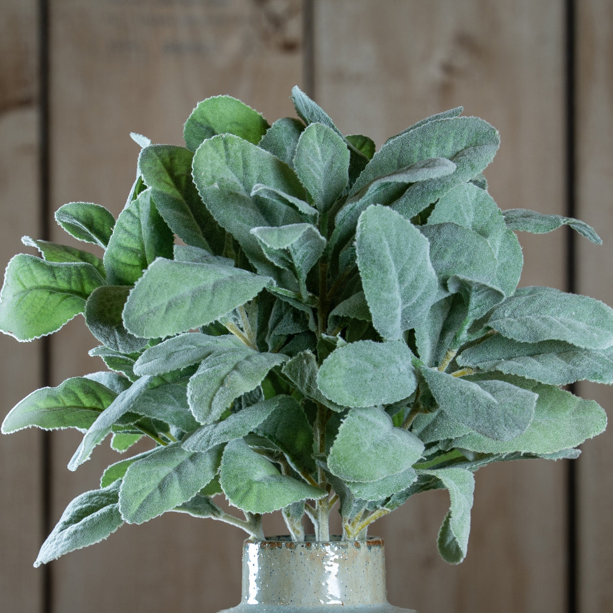 Lambs Ear Spray image 1