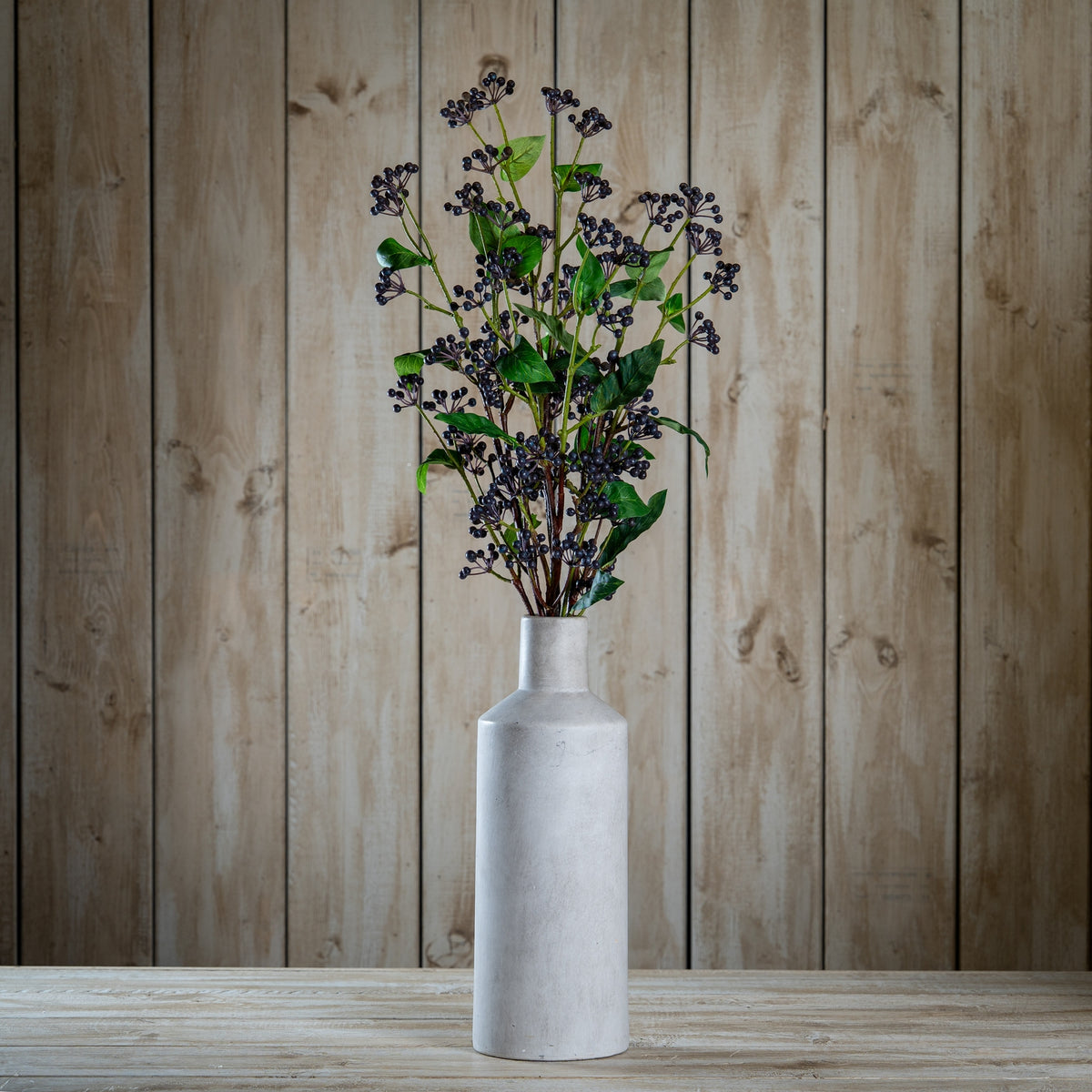 Viburnum Berry image 2
