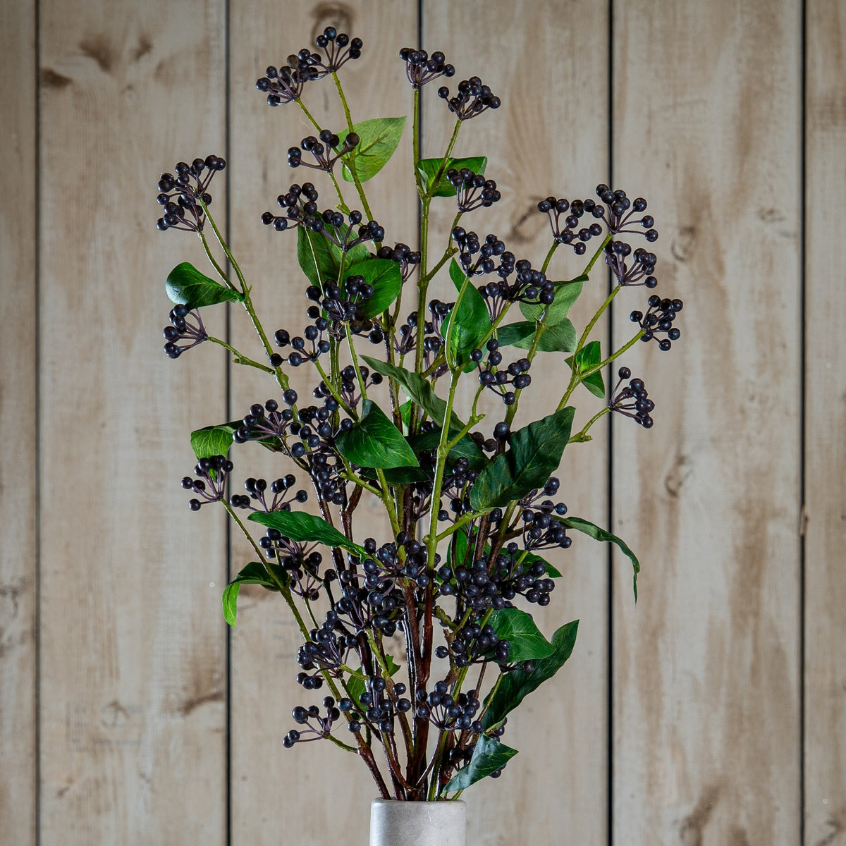 Viburnum Berry image 1