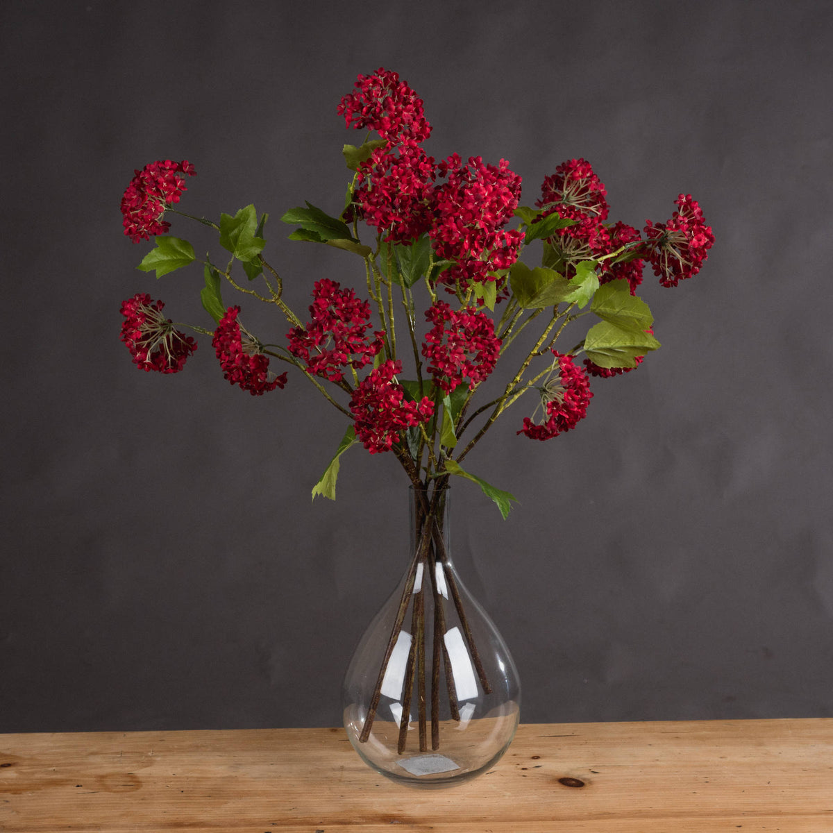 Red Autumnal Viburnum image 1