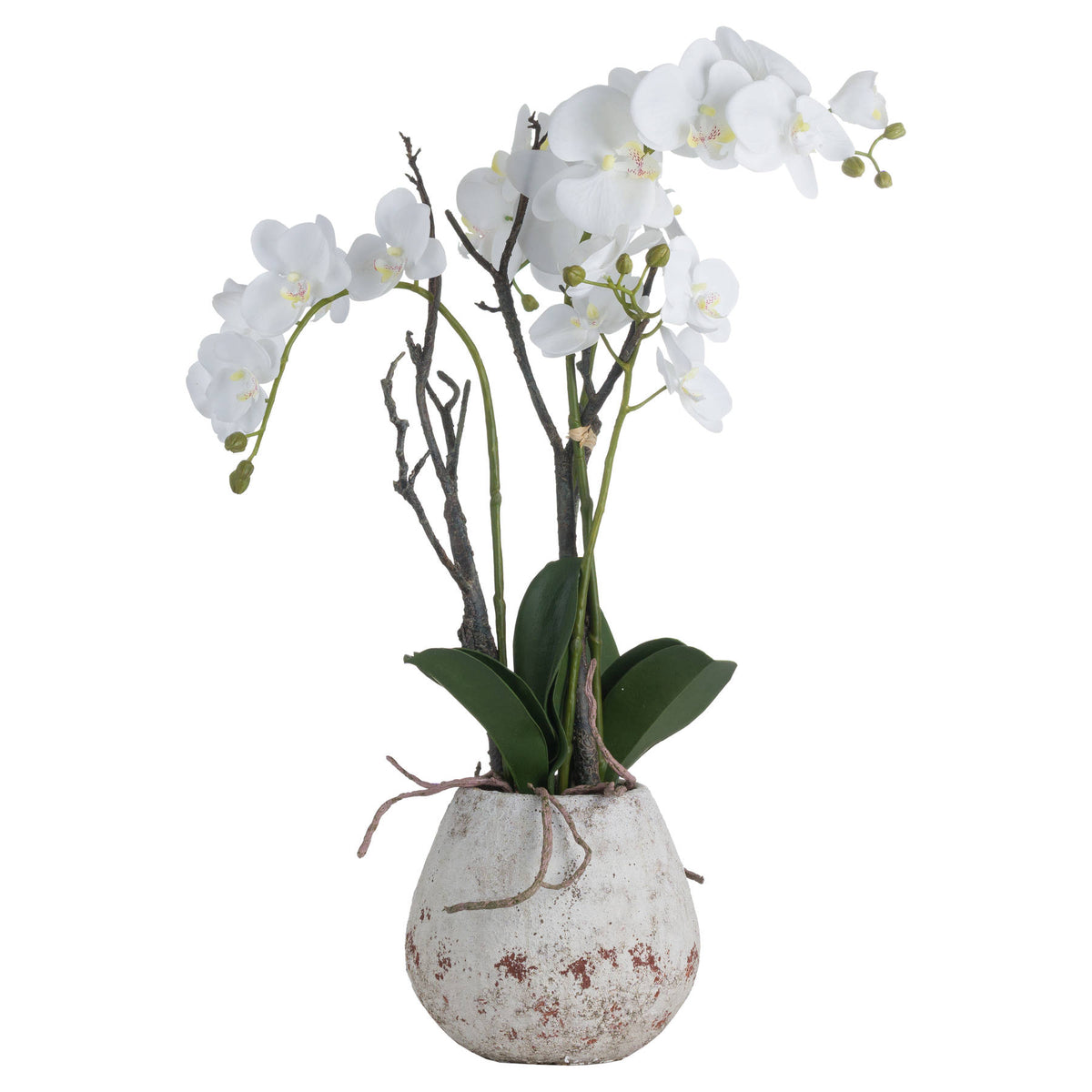 White Orchid In Stone Pot image 2