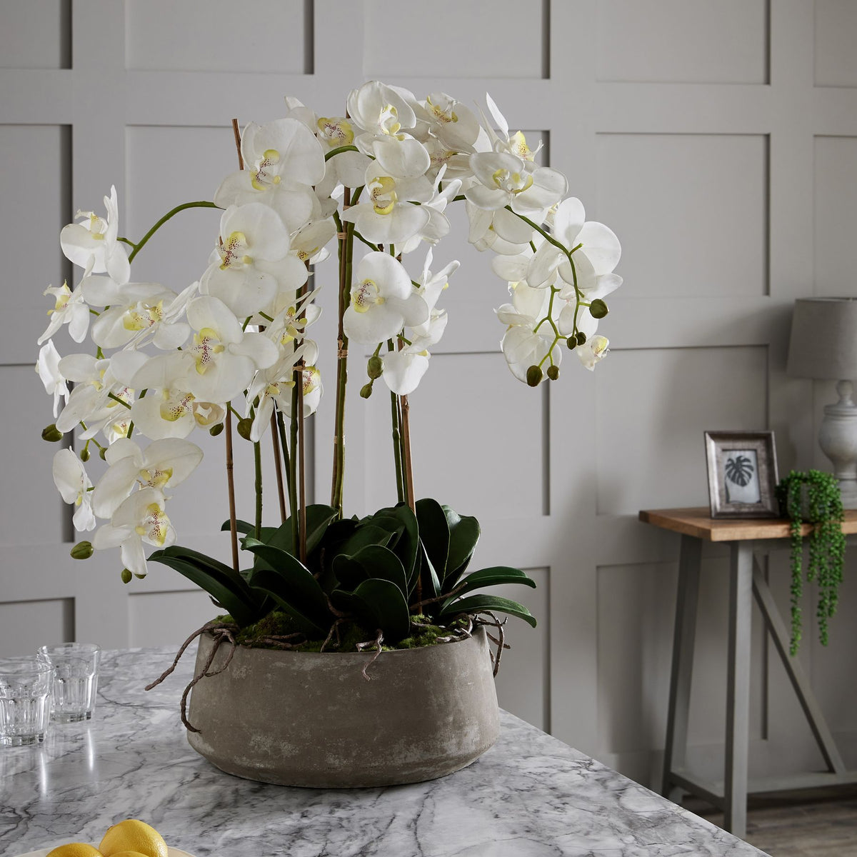 Large White Orchid In Stone Pot image 4