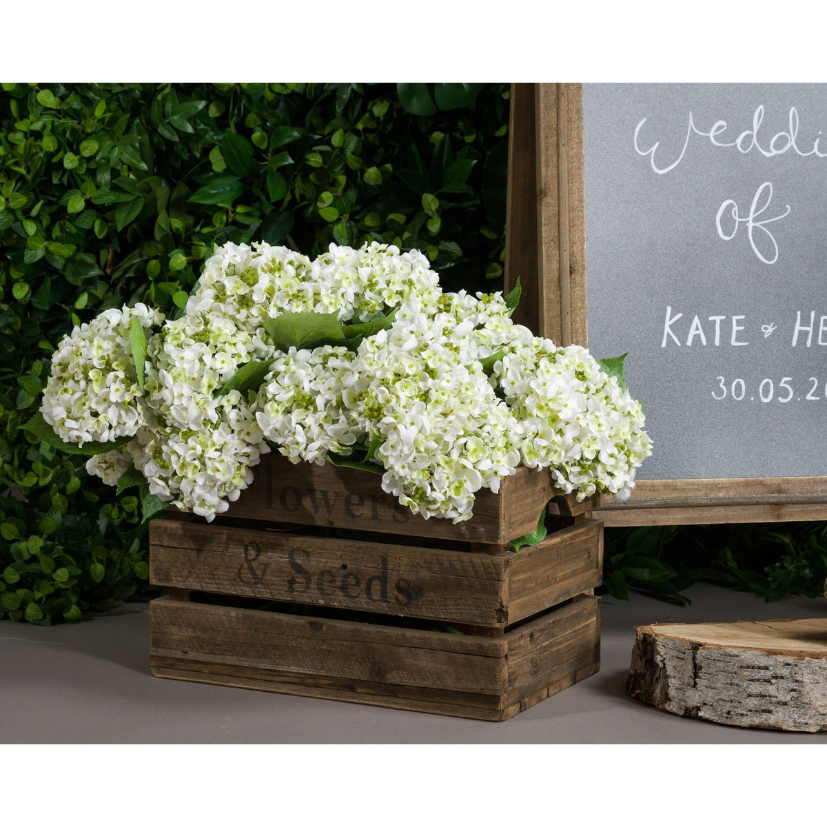 White Lace Cap Hydrangea image 4