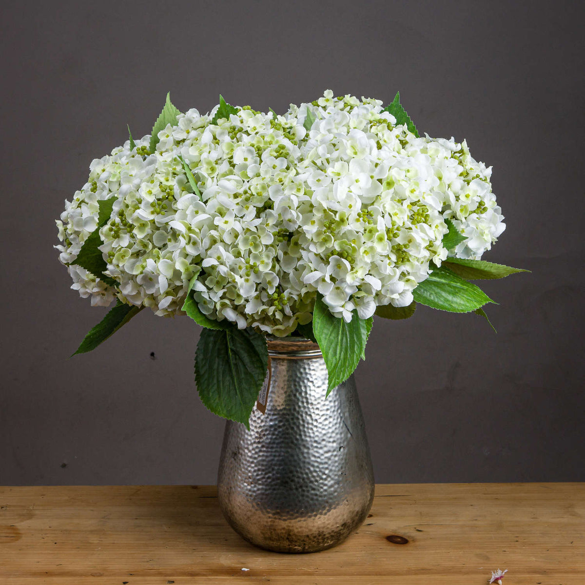 White Lace Cap Hydrangea image 1