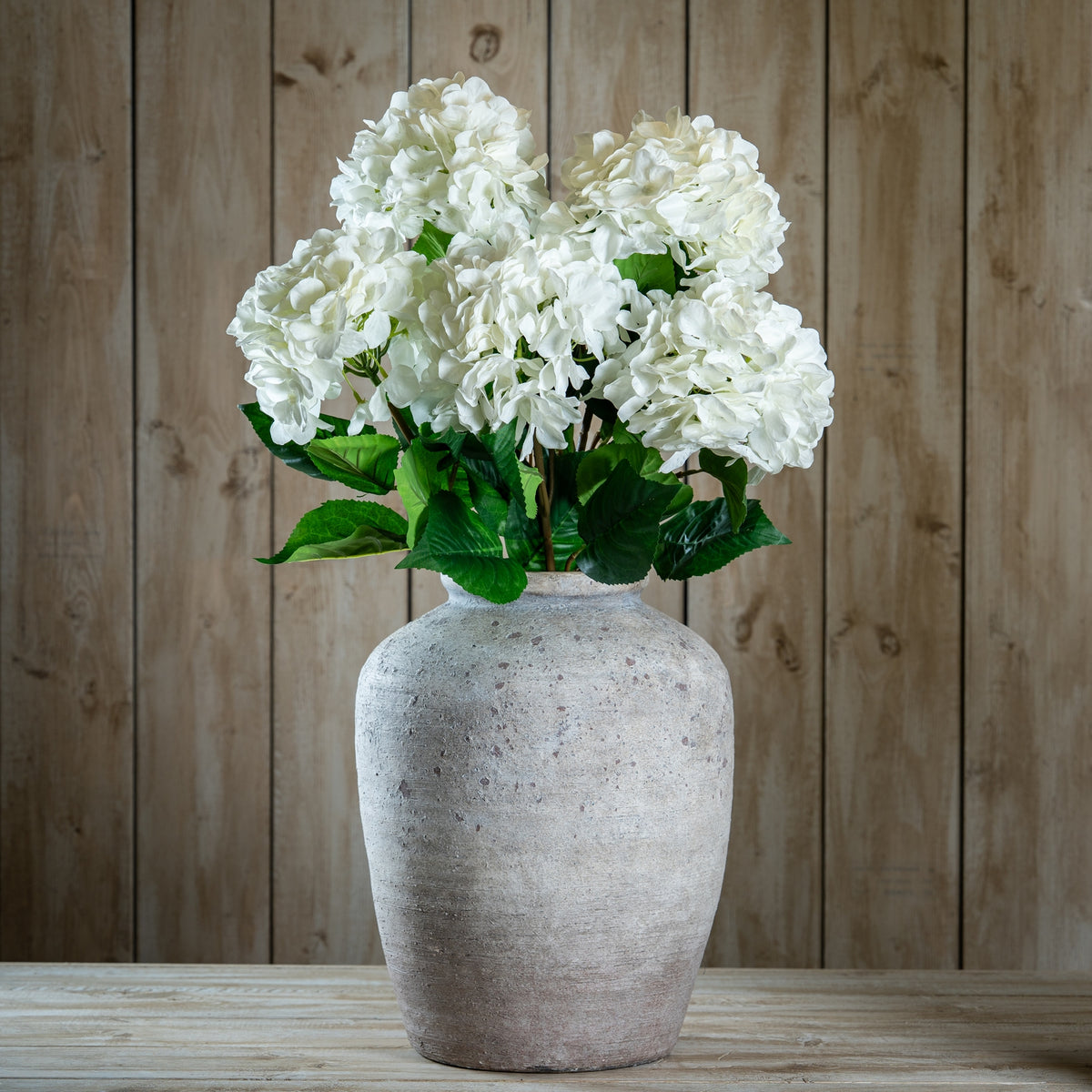 Single White Hydrangea image 2