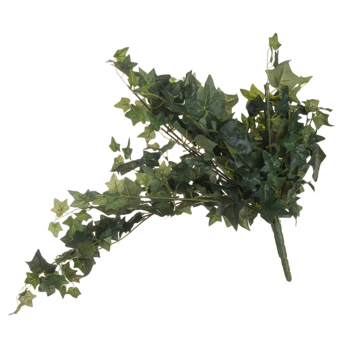 Ivy Pick image 1