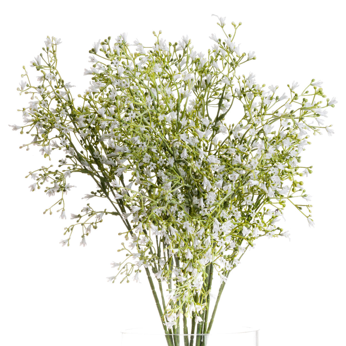 White Gypsophila Spray image 1