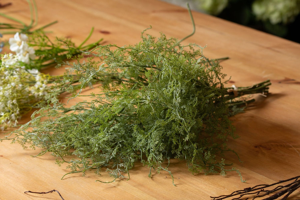 Asparagus Fern Bunch image 5