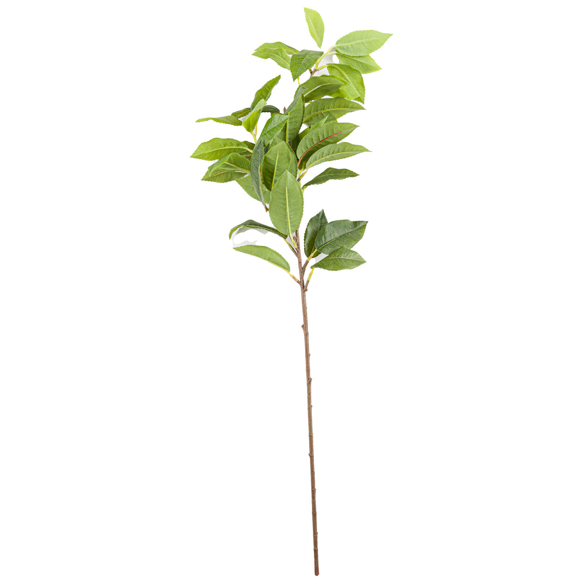 Laurel Leaf Spray image 2