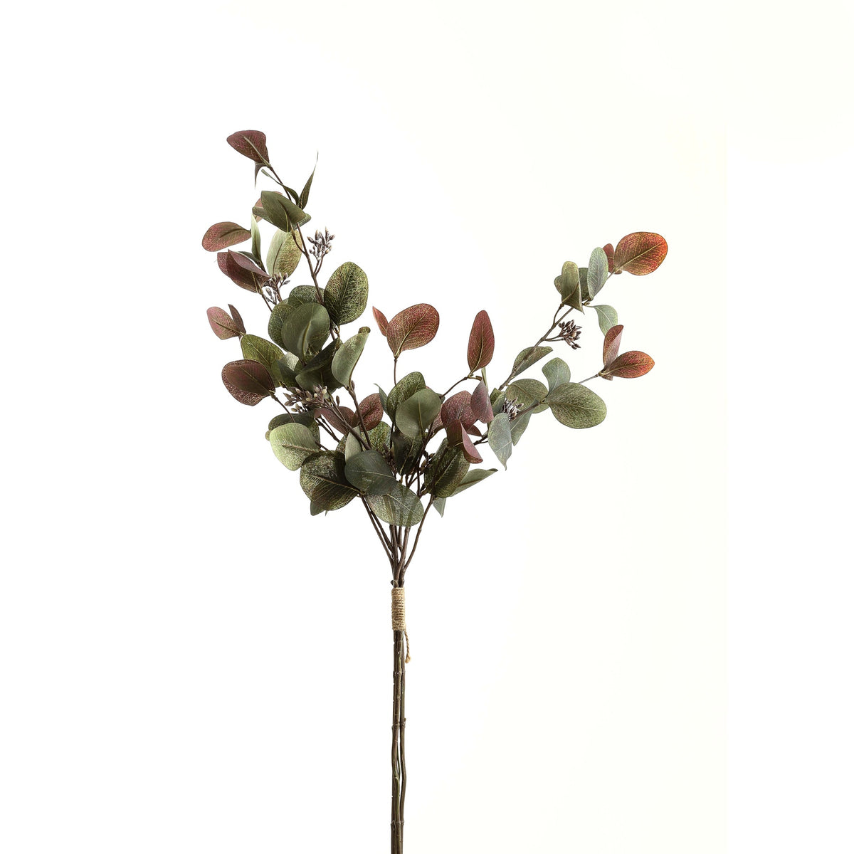 Variegated Eucalyptus Bouquet image 2