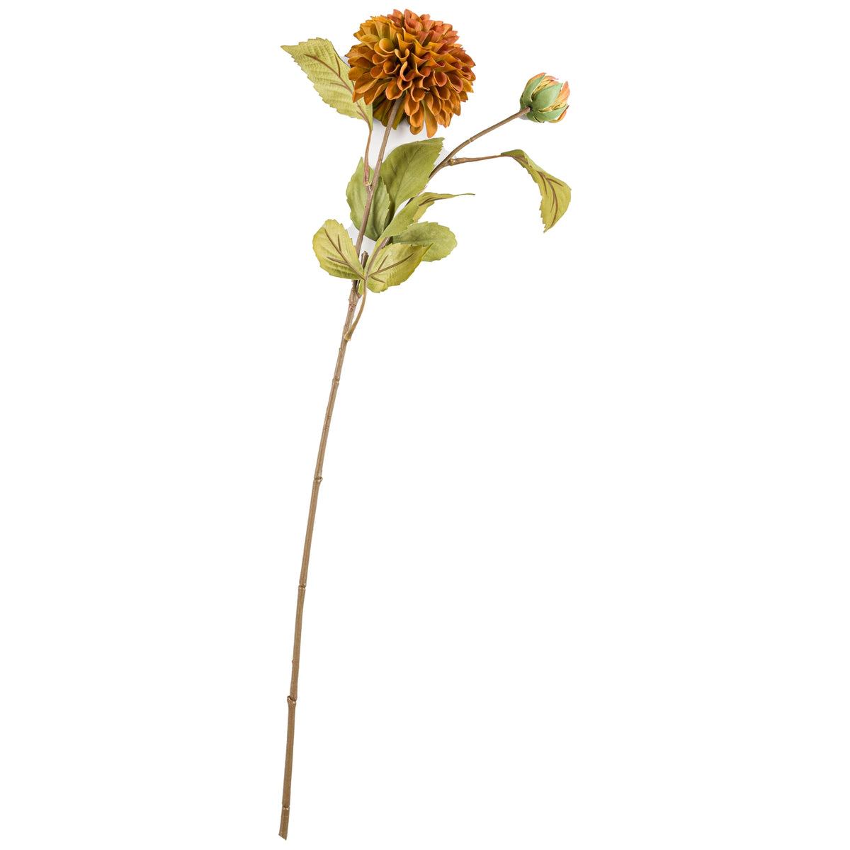 Deep Mustard Dahlia Stem image 3