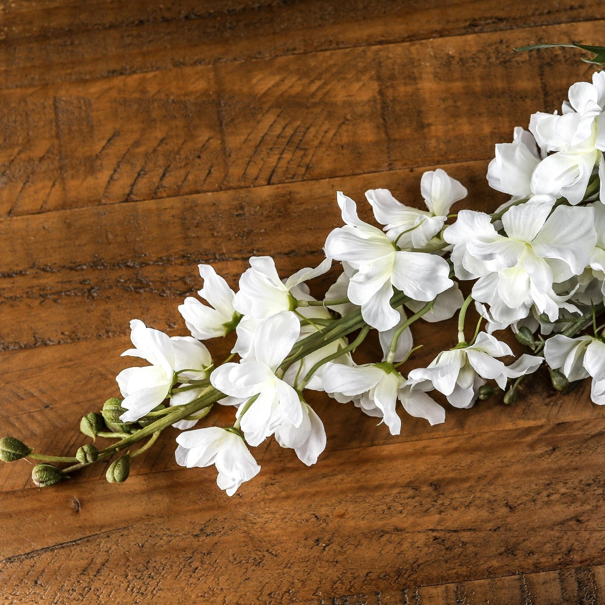 Tall White Delphinium Stem image 1