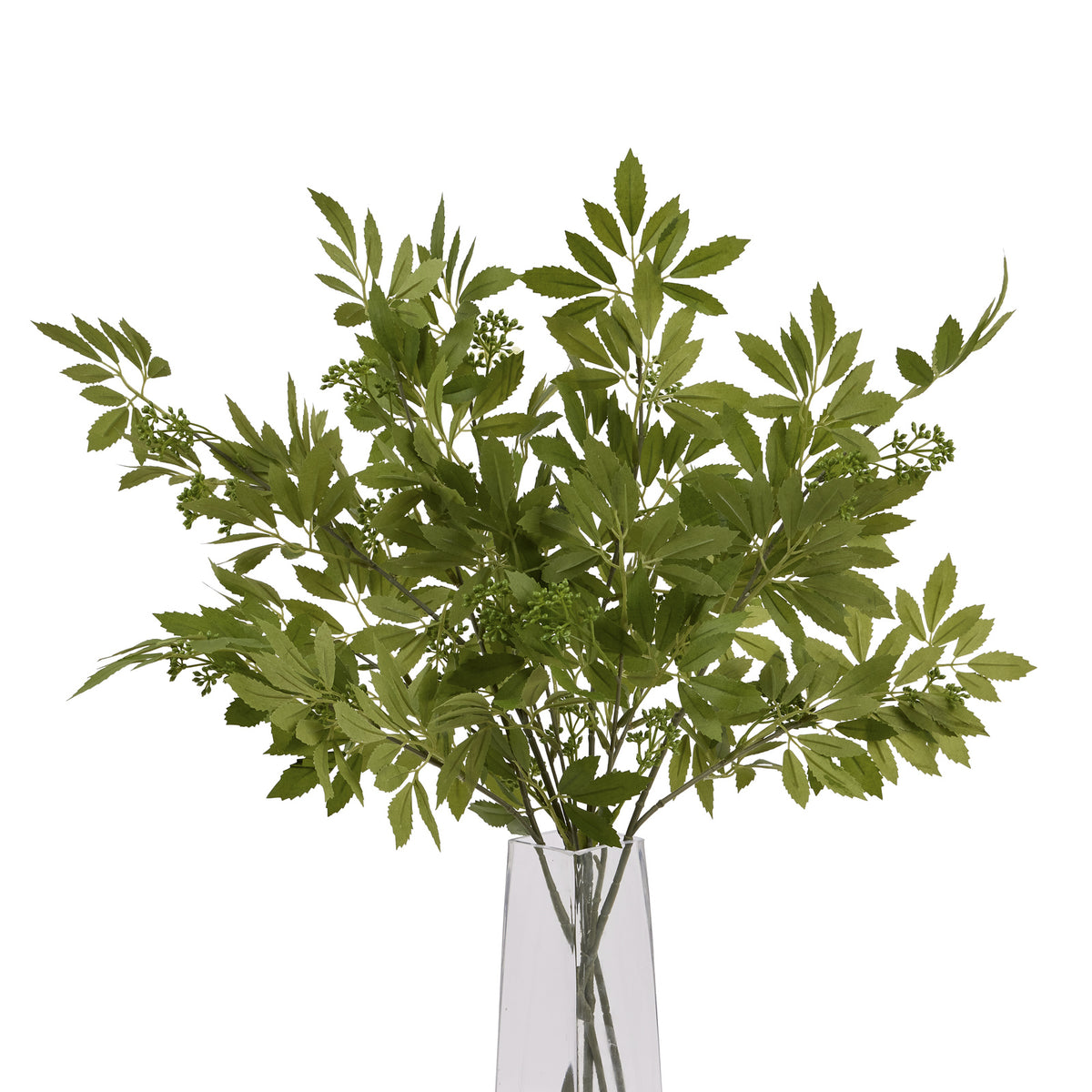 Long Fennel Stem image 3