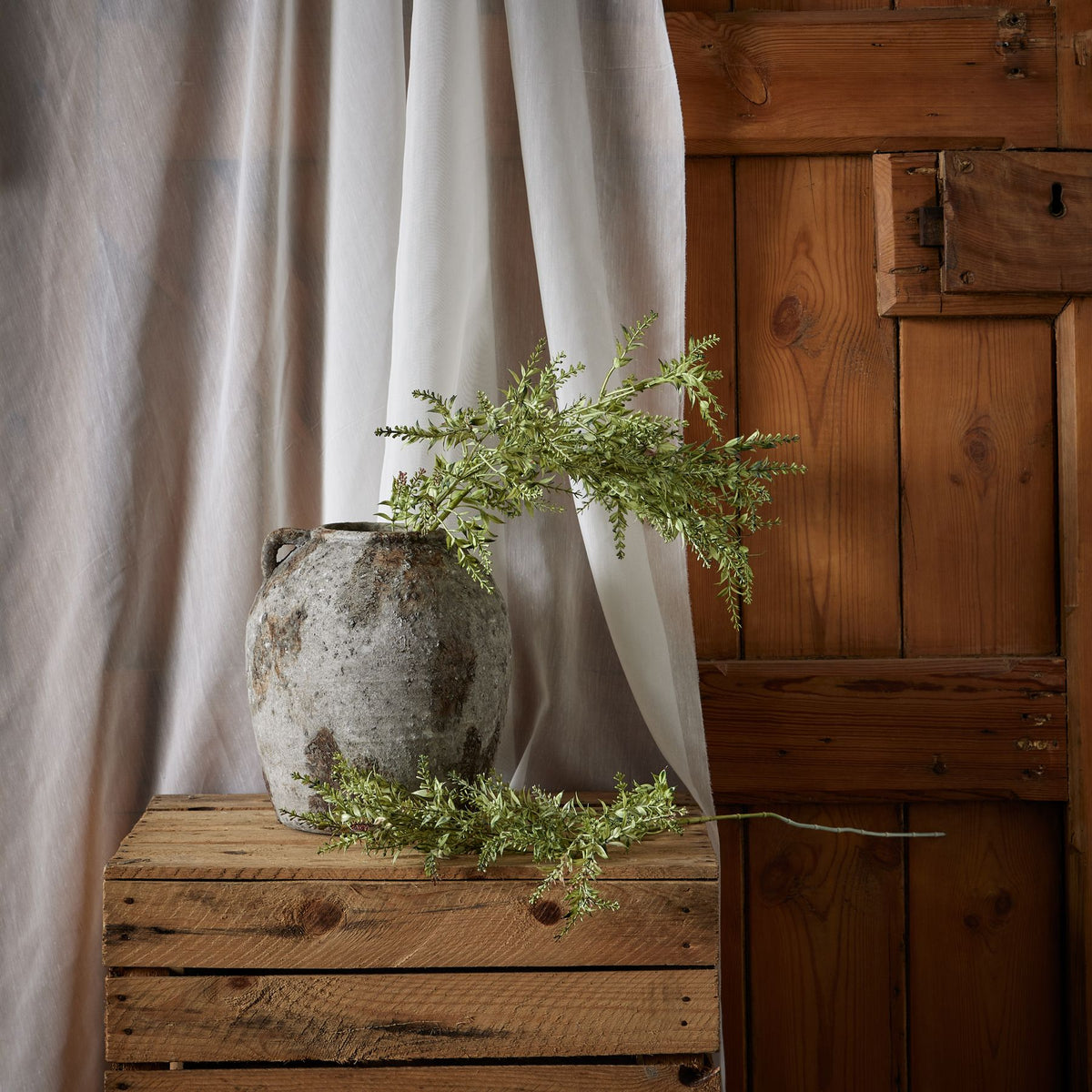 Broom Stem image 3