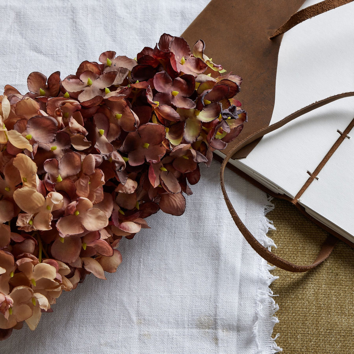 Burgundy Spear Hydrangea image 2