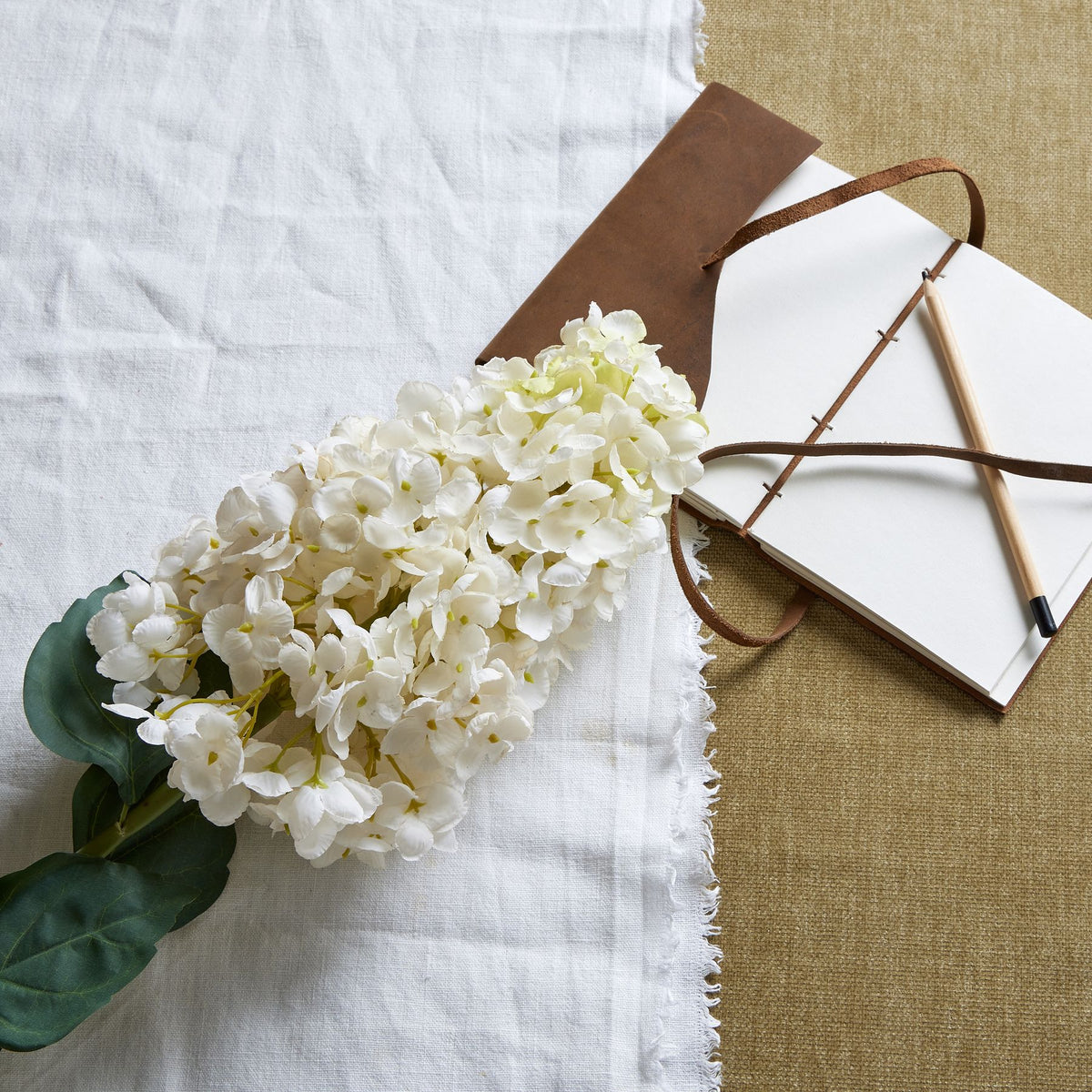 White Spear Hydrangea image 1