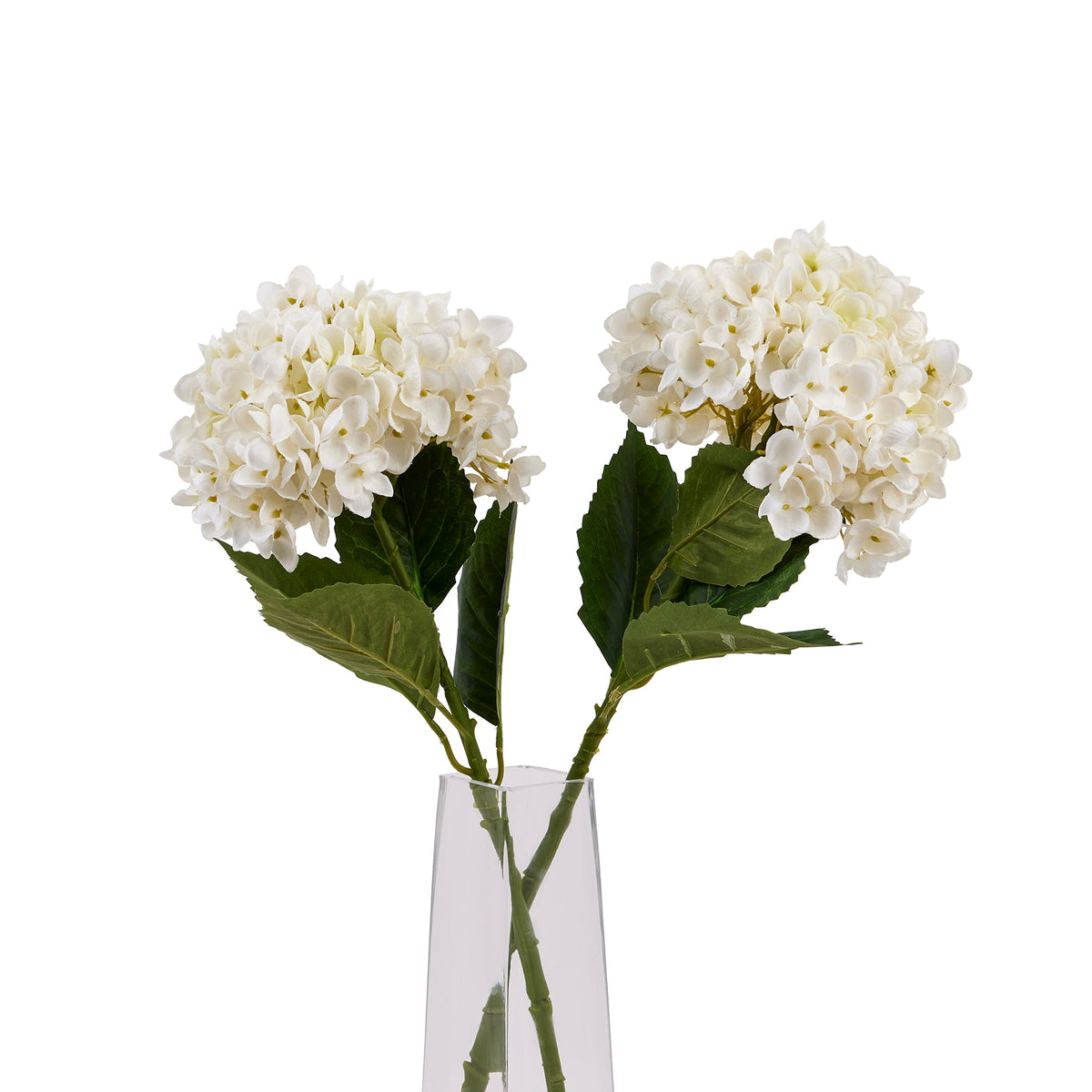 White Hydrangea Stem image 1