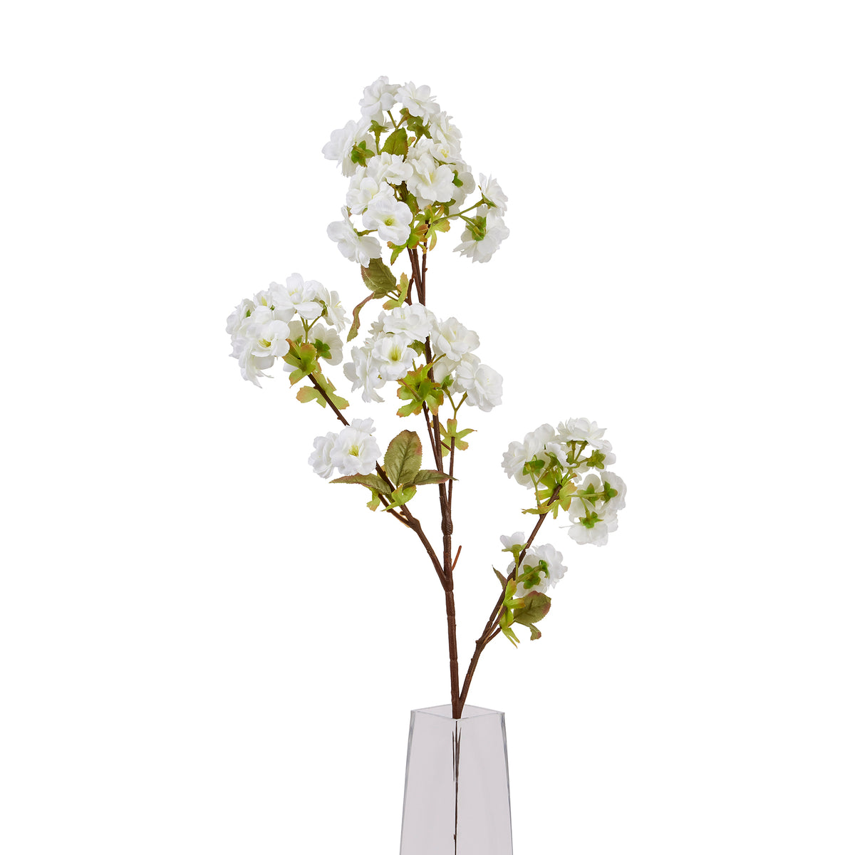 Tall White Blossom image 1