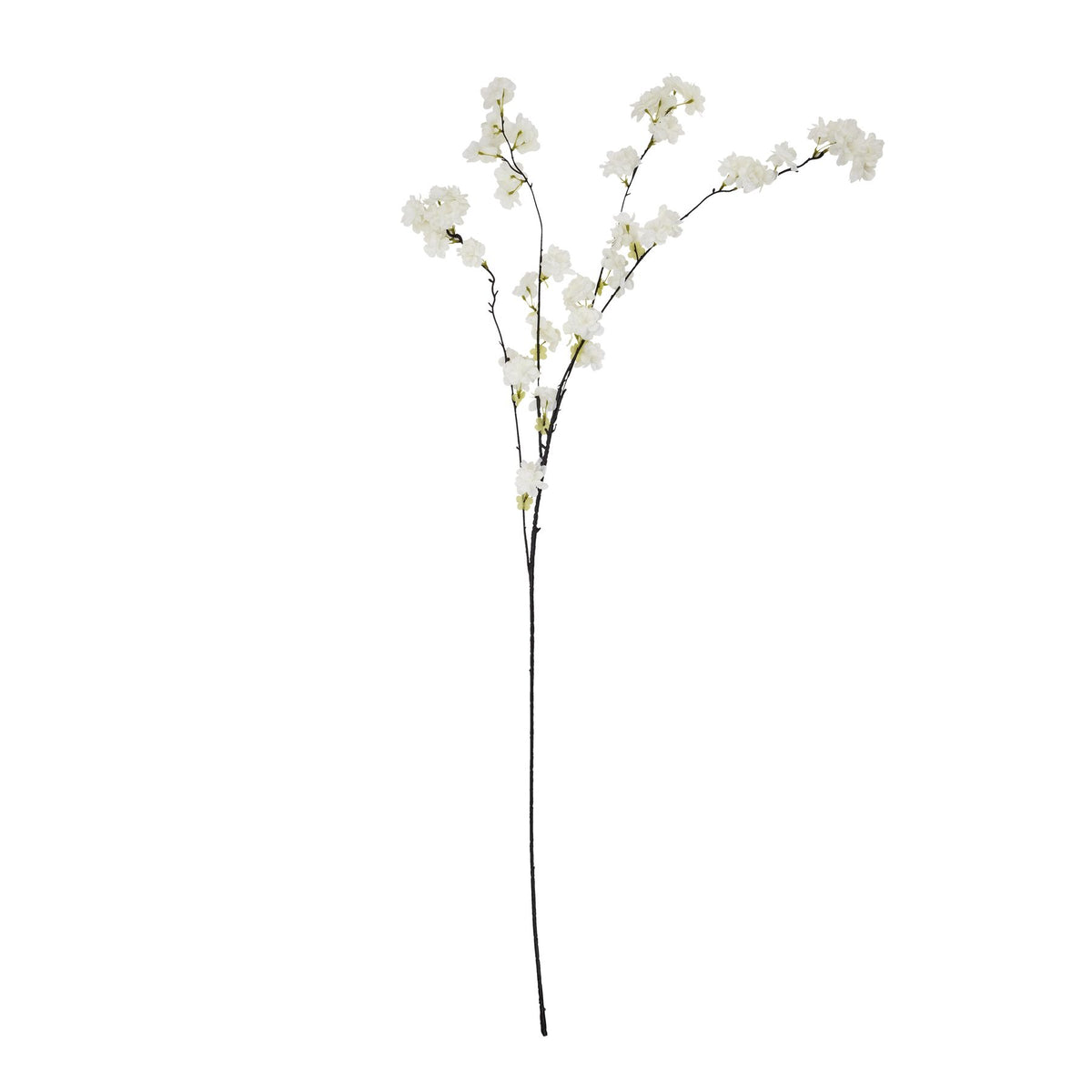 Large White Cherry Blossom Stem image 2