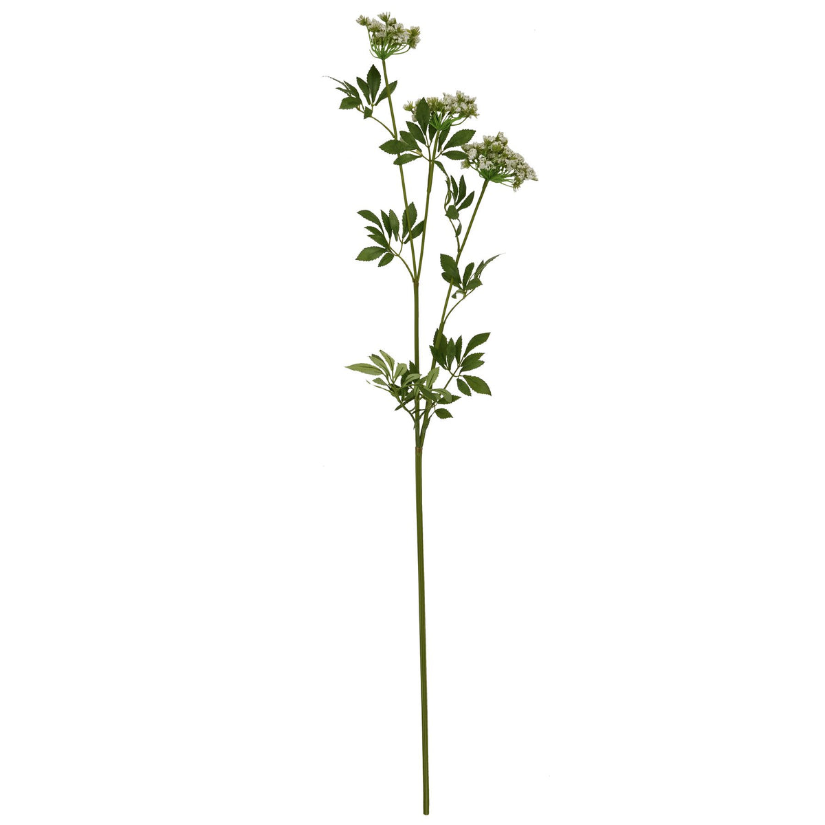 Faux White Cow Parsley Ammi image 4