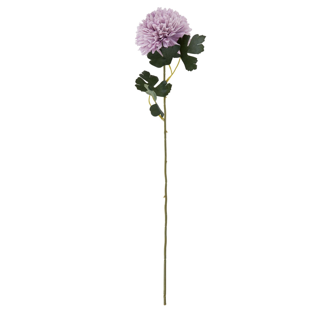Light Purple Chrysanthemum image 3