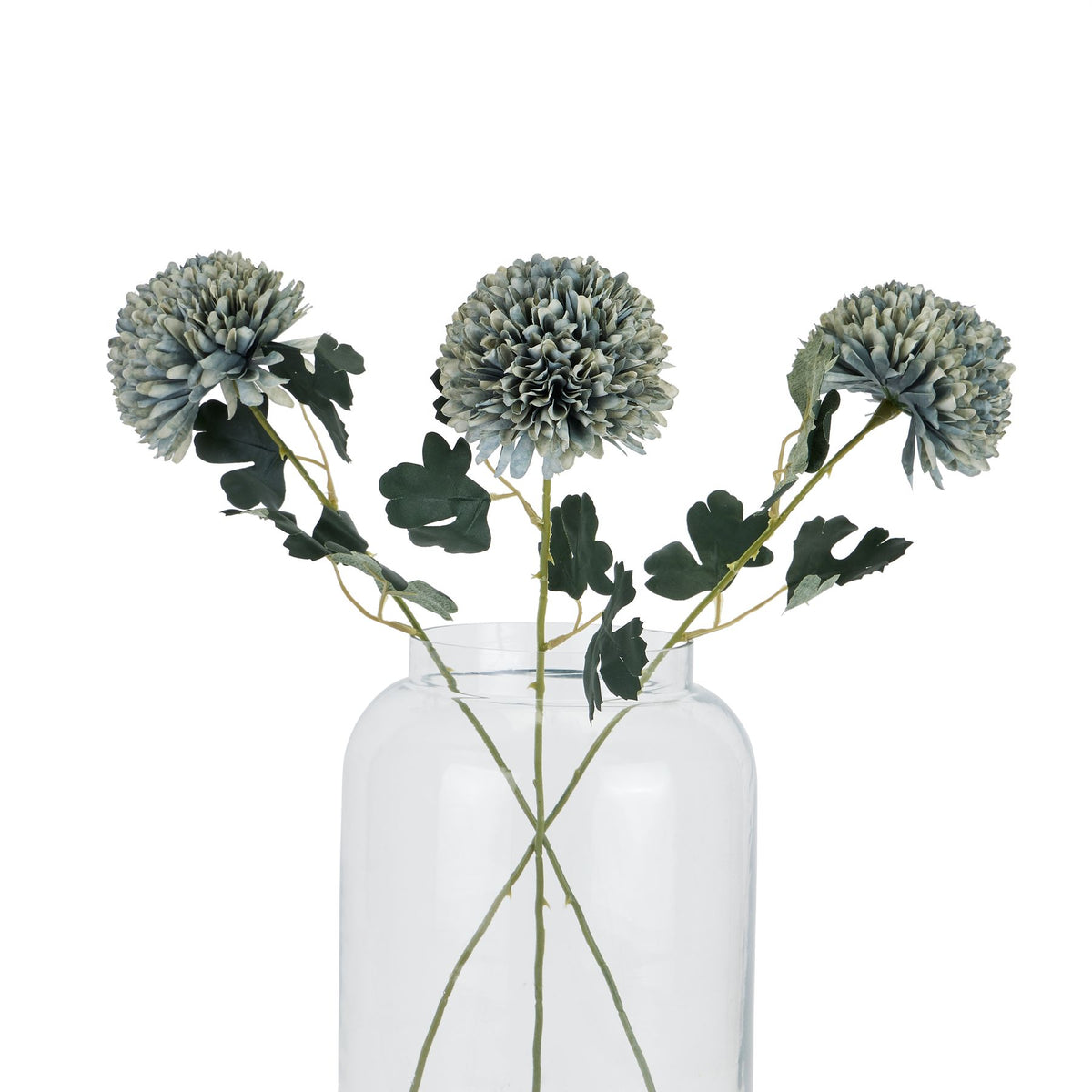 Pale Green Blue Chrysanthemum image 4