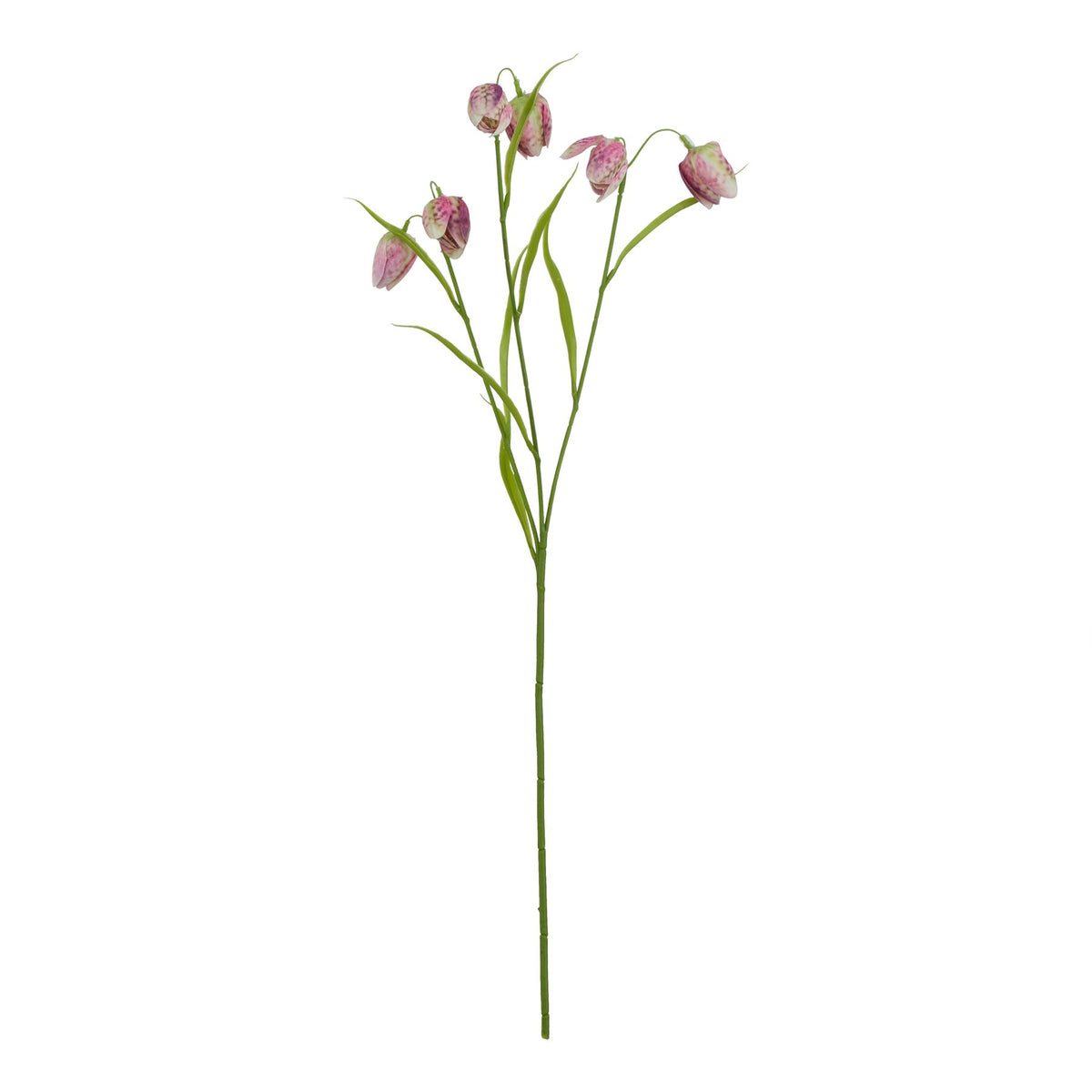 The Natural Garden Collection Purple Fritillaria Stem image 1