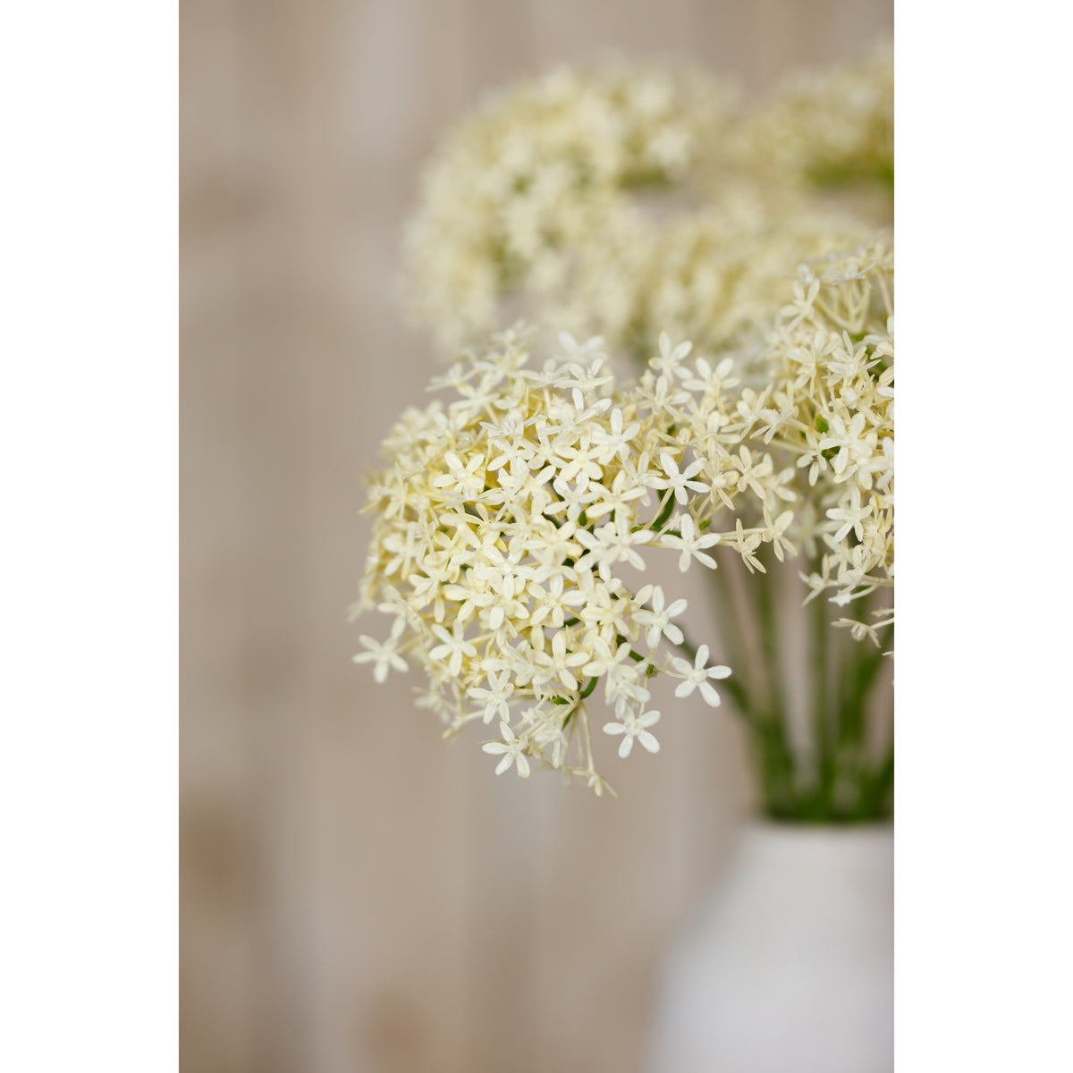 Three Head Cream Allium Spray image 5