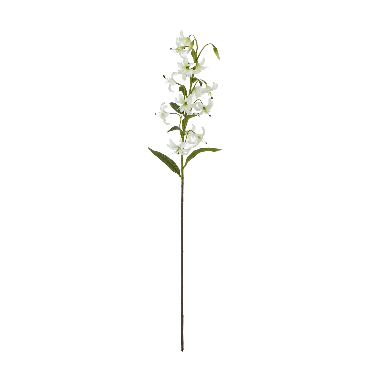 Turks Cap Green Lily Spray image 3