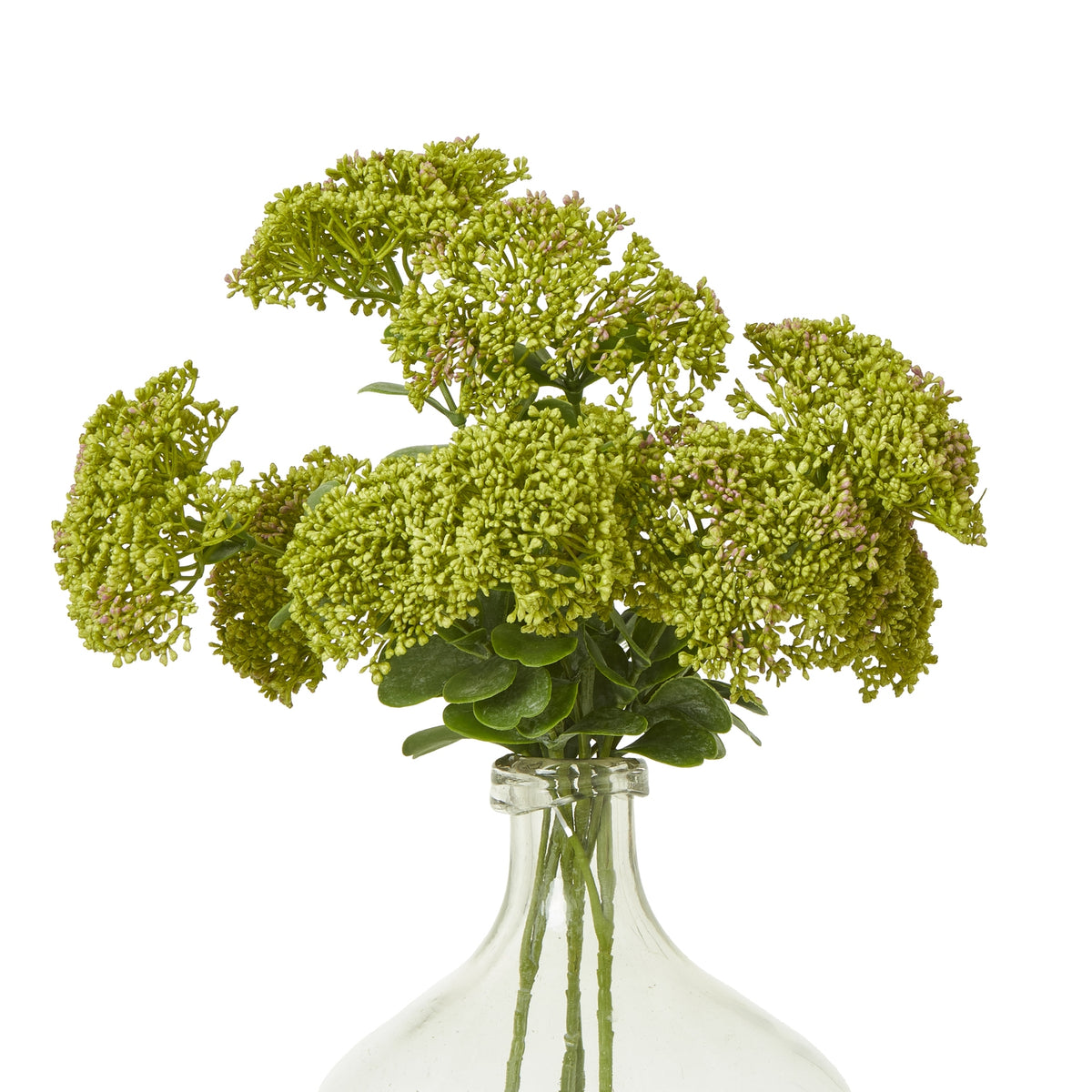 Green Sedum Spray image 3