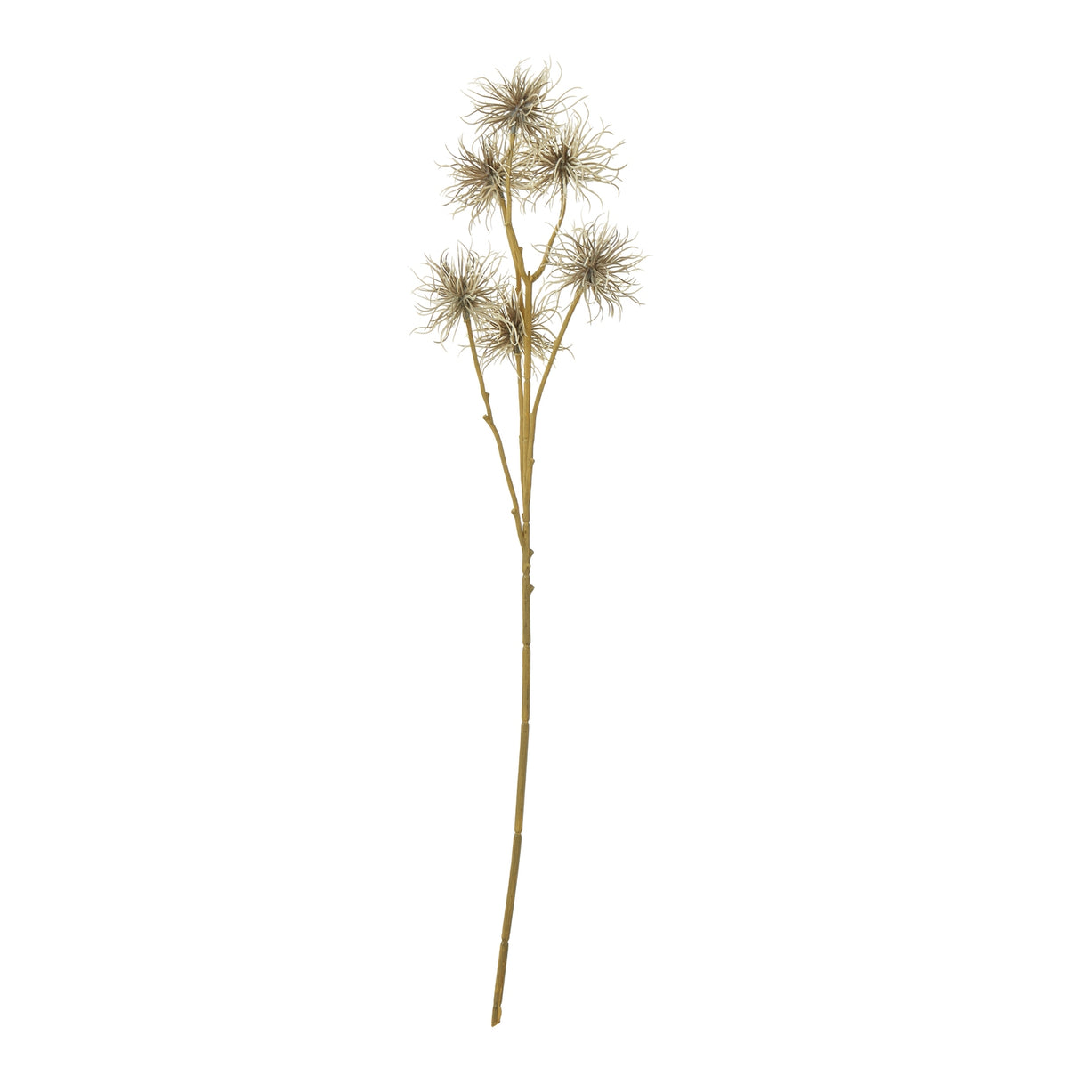 Brown Xanthium Spray image 1