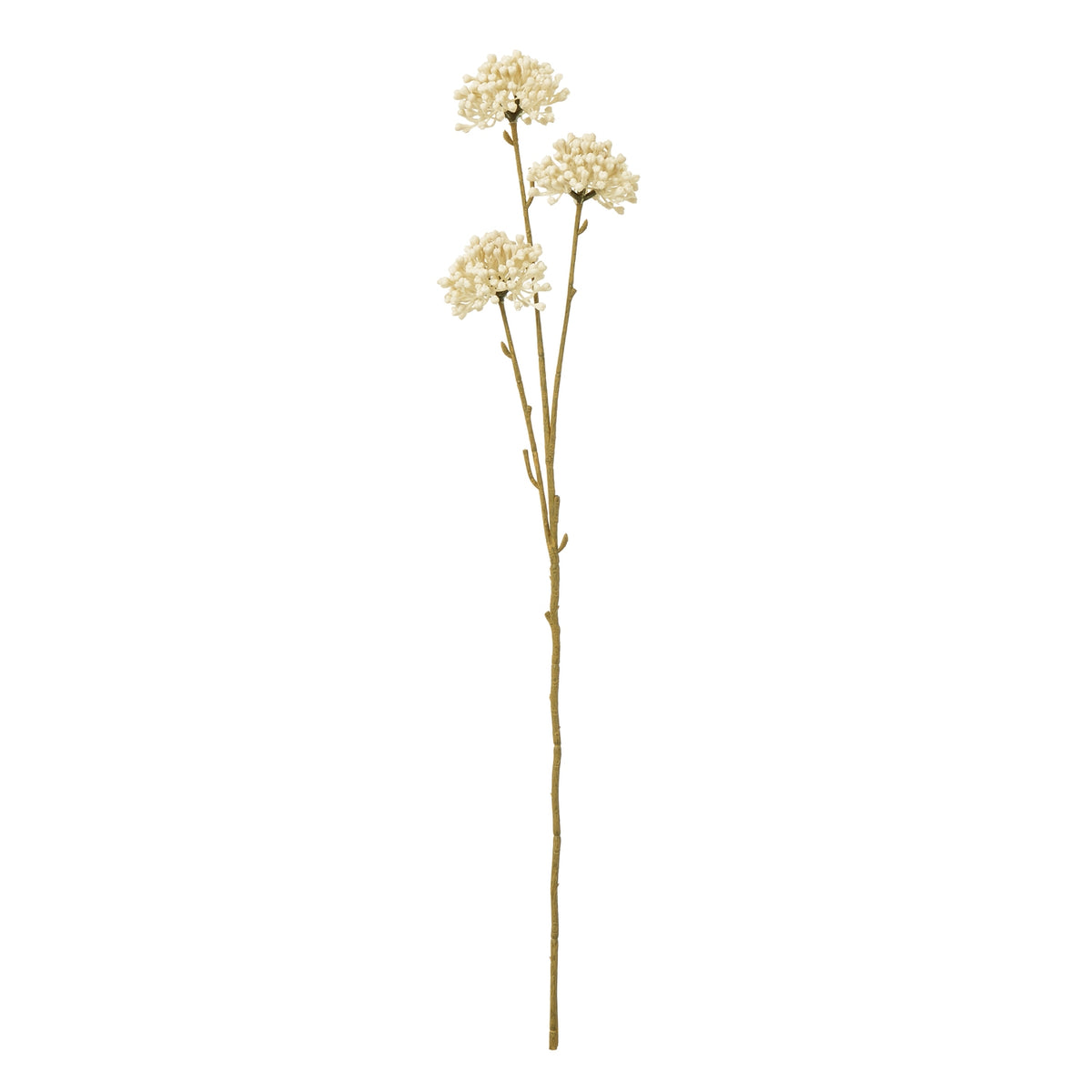 Cream Allium Spray image 1