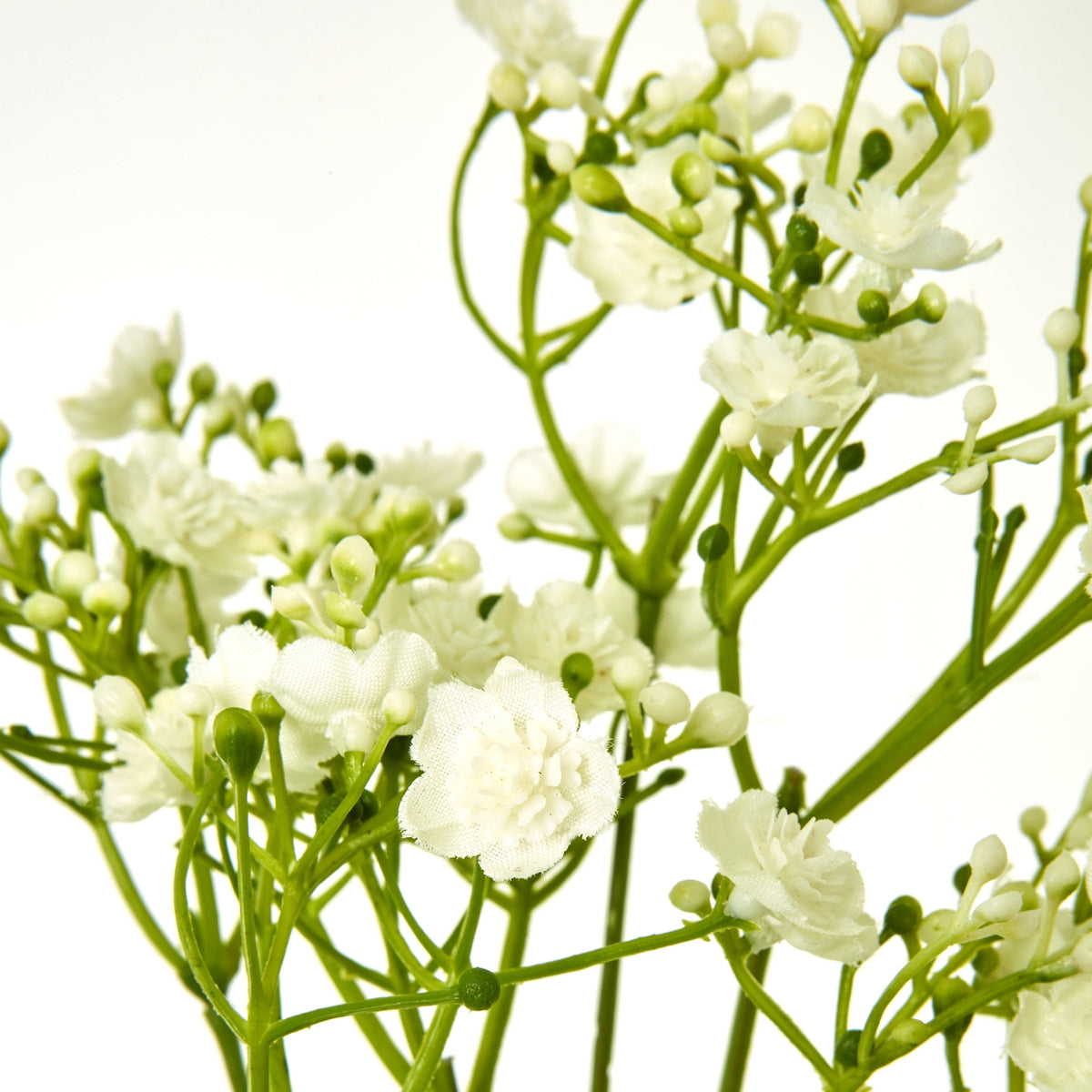 Cream Gypsophila Stem image 2