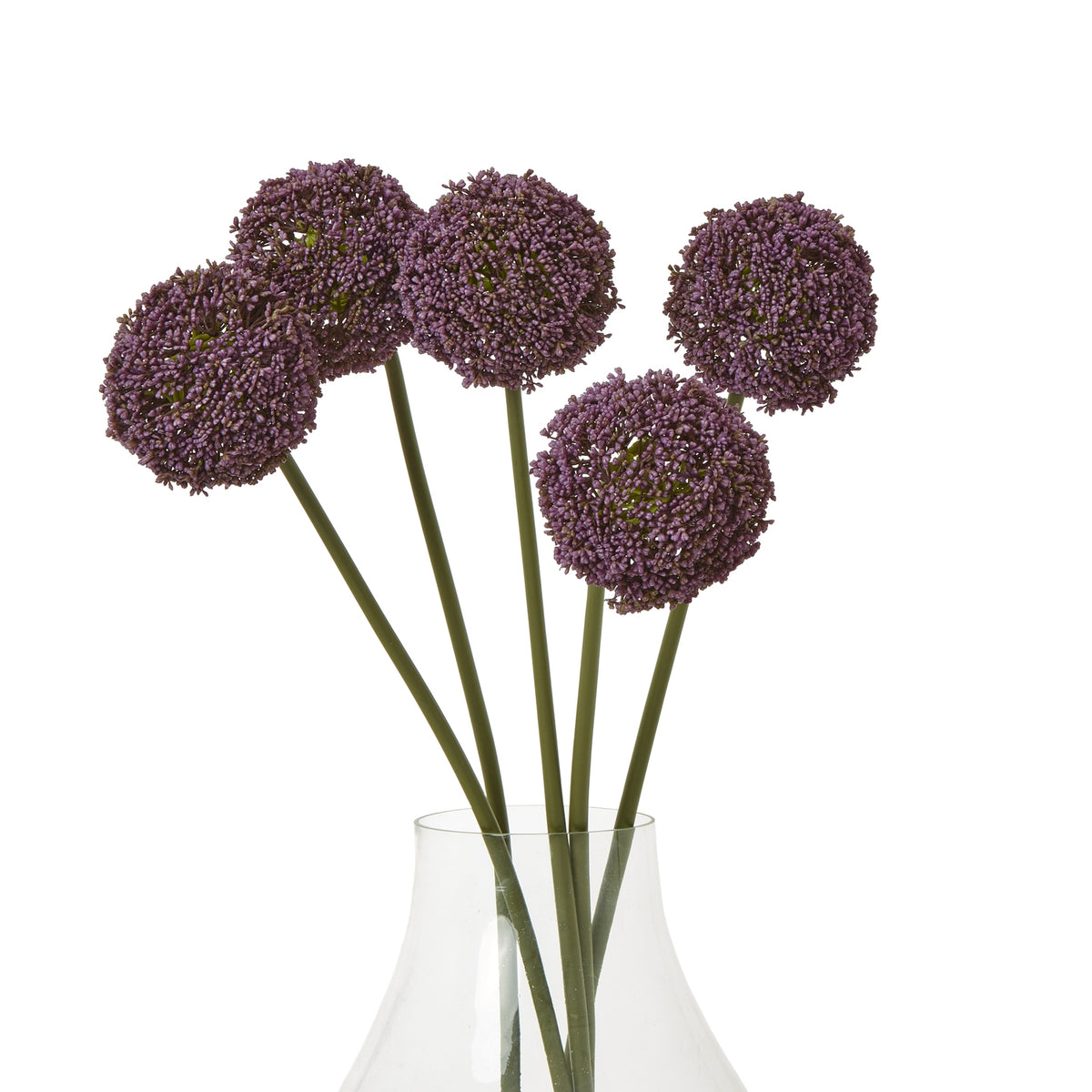 Purple Allium Stem image 3