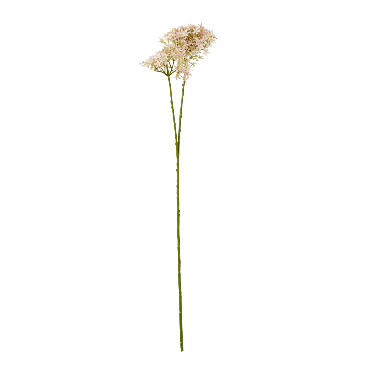 Pink Crown Hydrangea Stem image 1