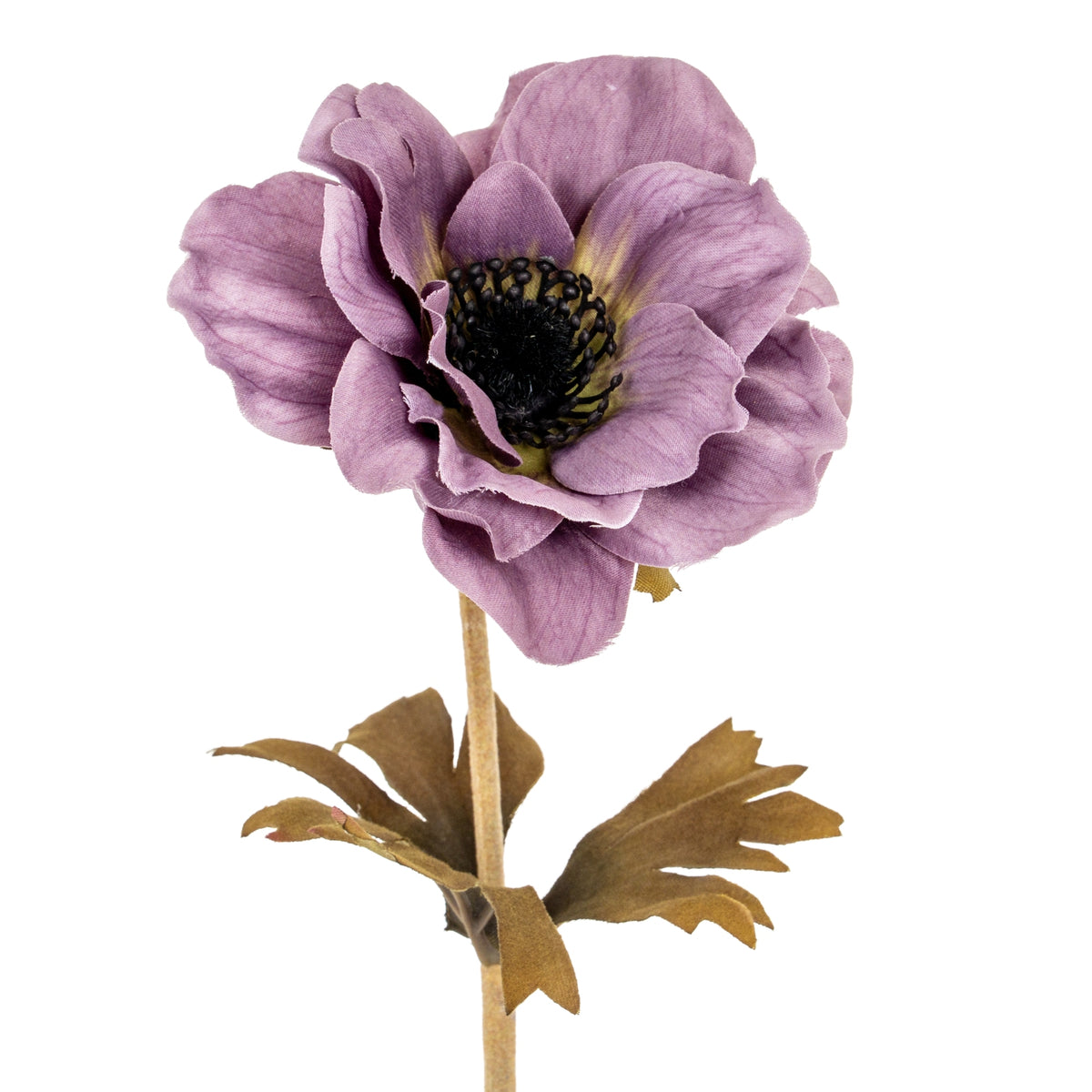 Purple Anemone Stem image 2