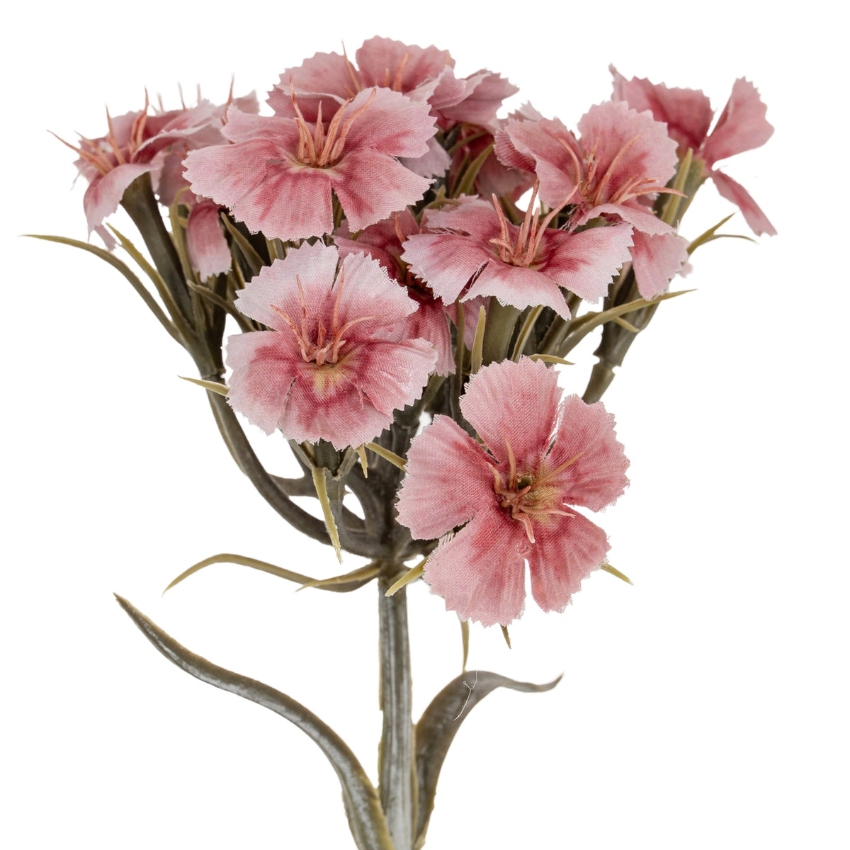 Pink Dianthus Spray image 1