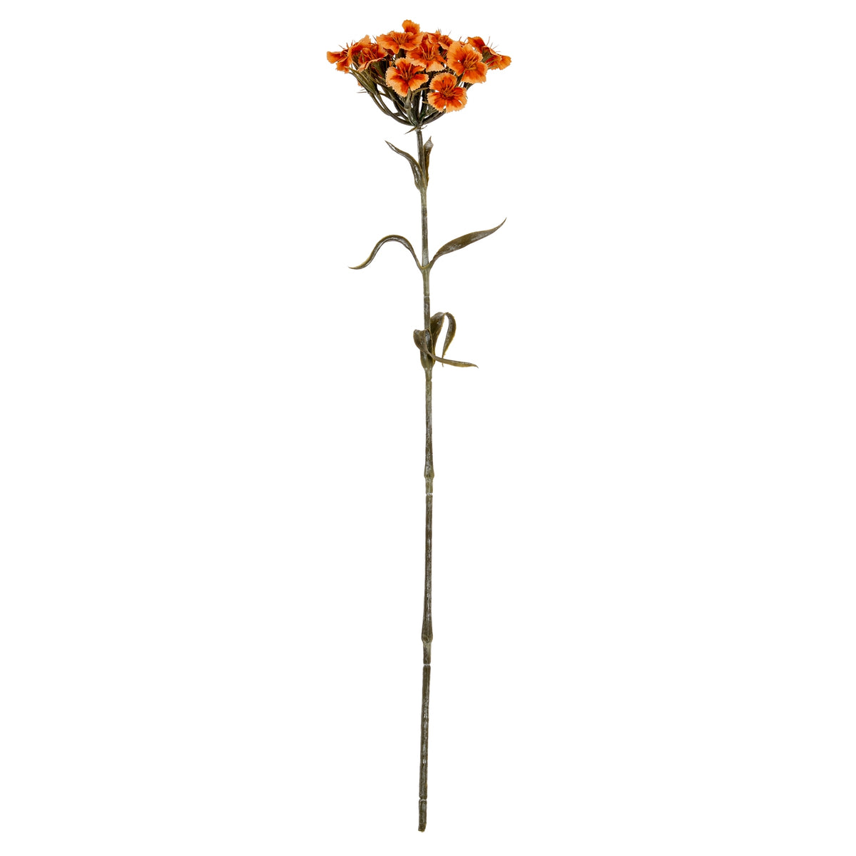 Orange Dianthus Spray image 2