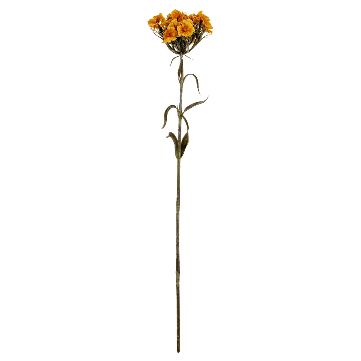 Yellow Dianthus Spray image 2