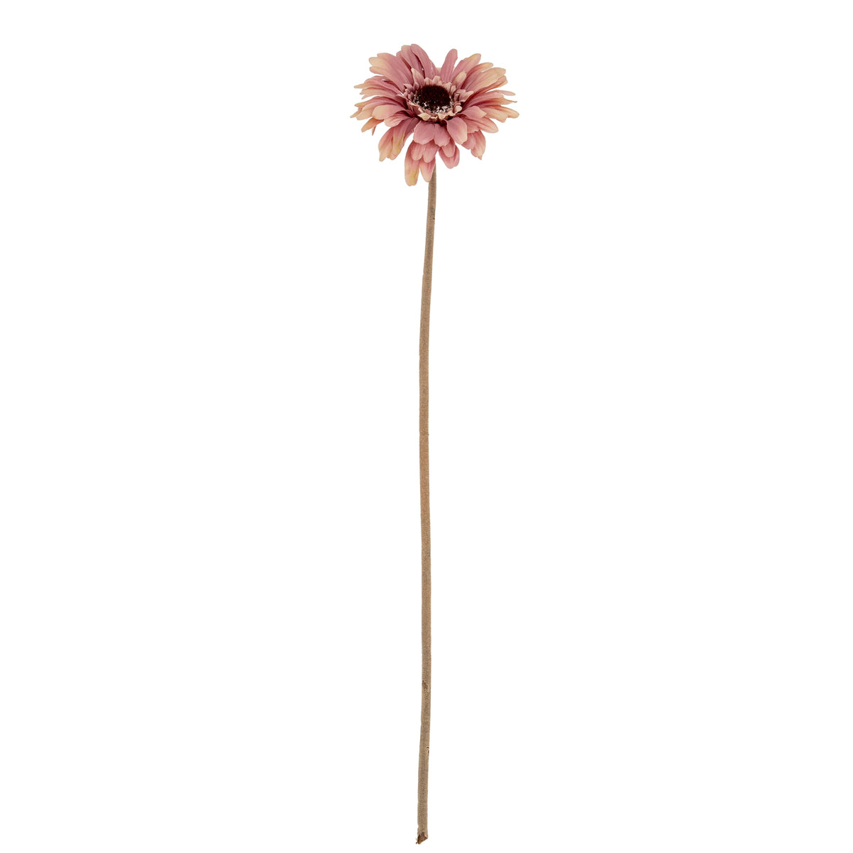 Pink Gerbera Stem image 2