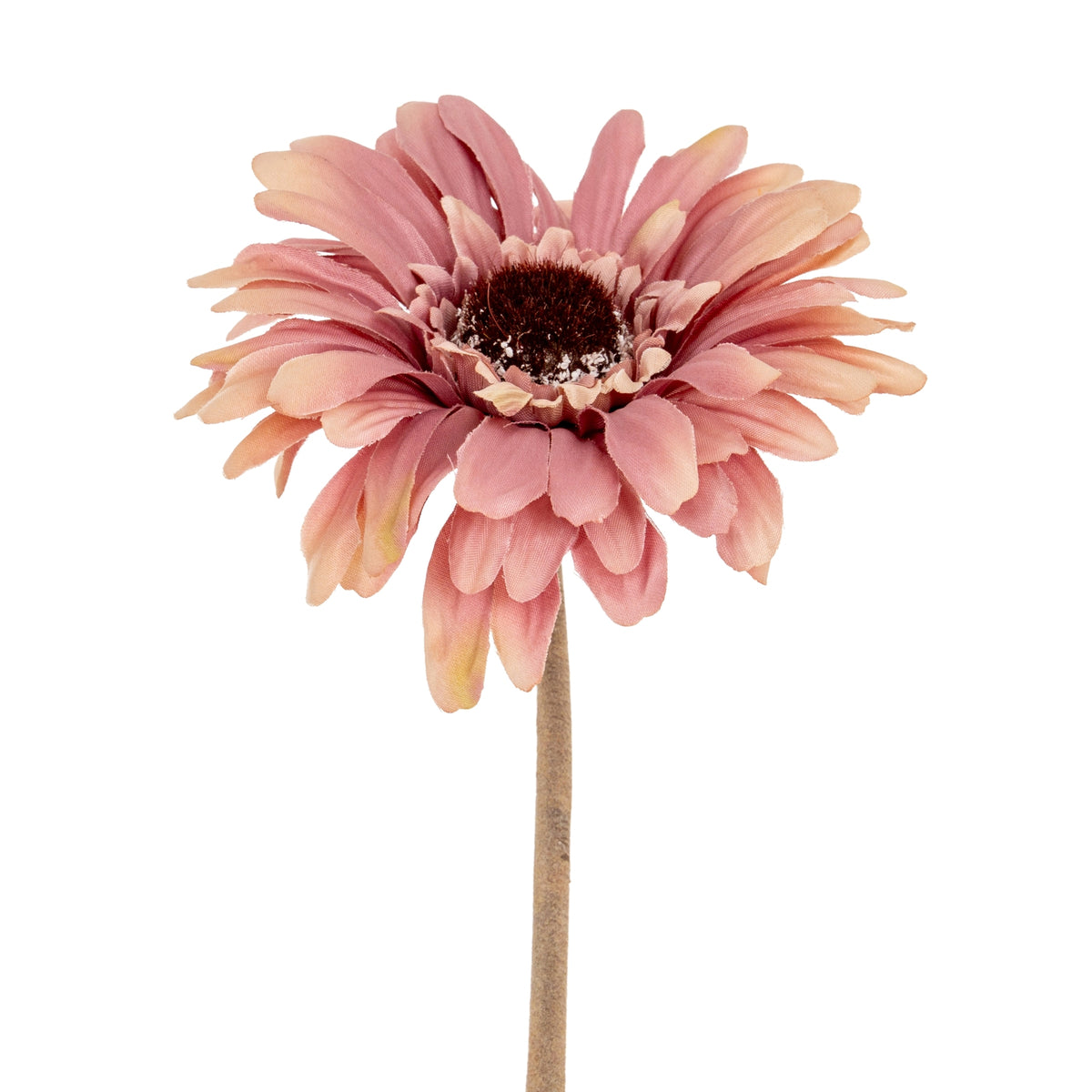 Pink Gerbera Stem image 1