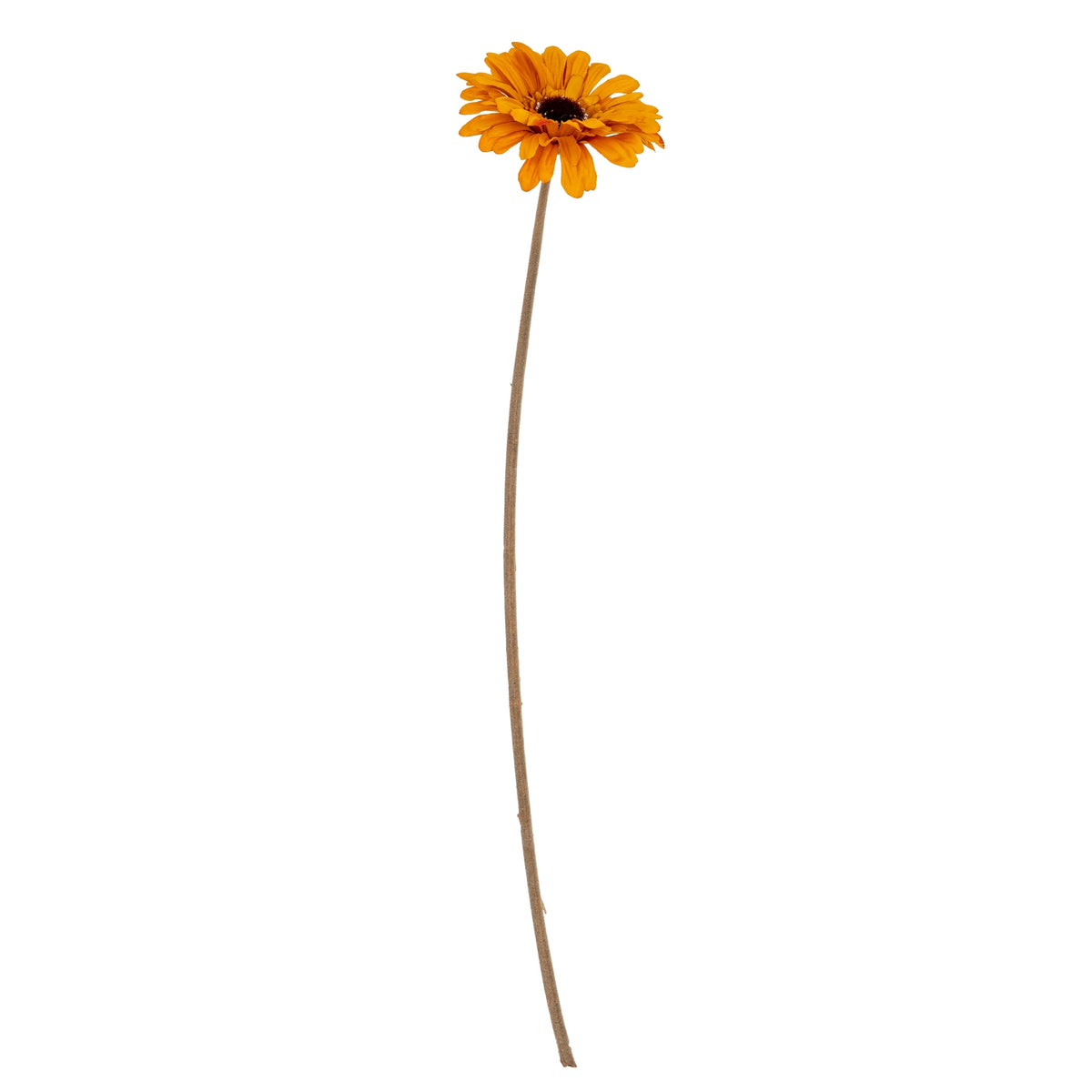 Orange Gerbera Stem image 2